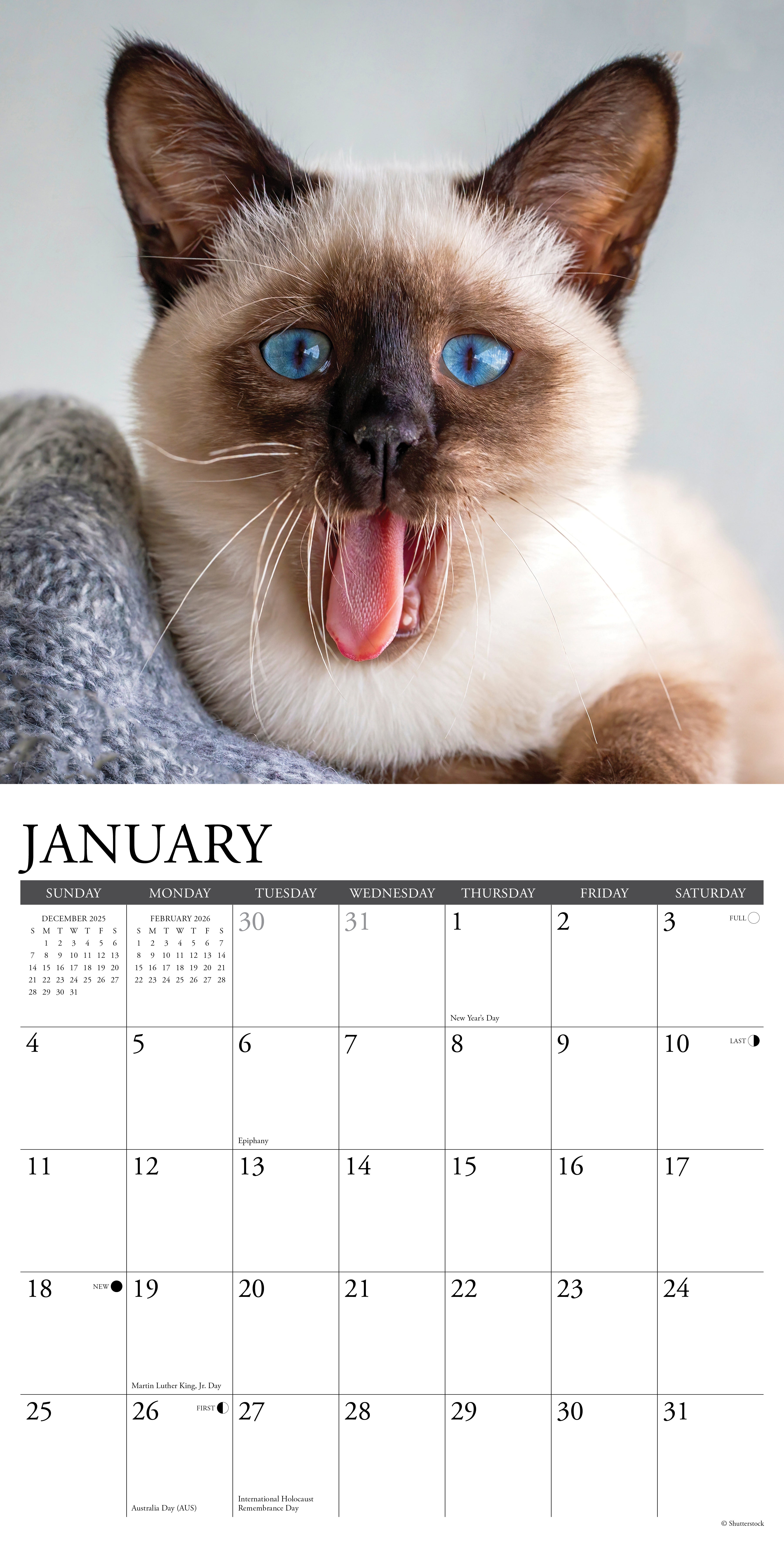2026 Siamese Cats - Square Wall Calendar