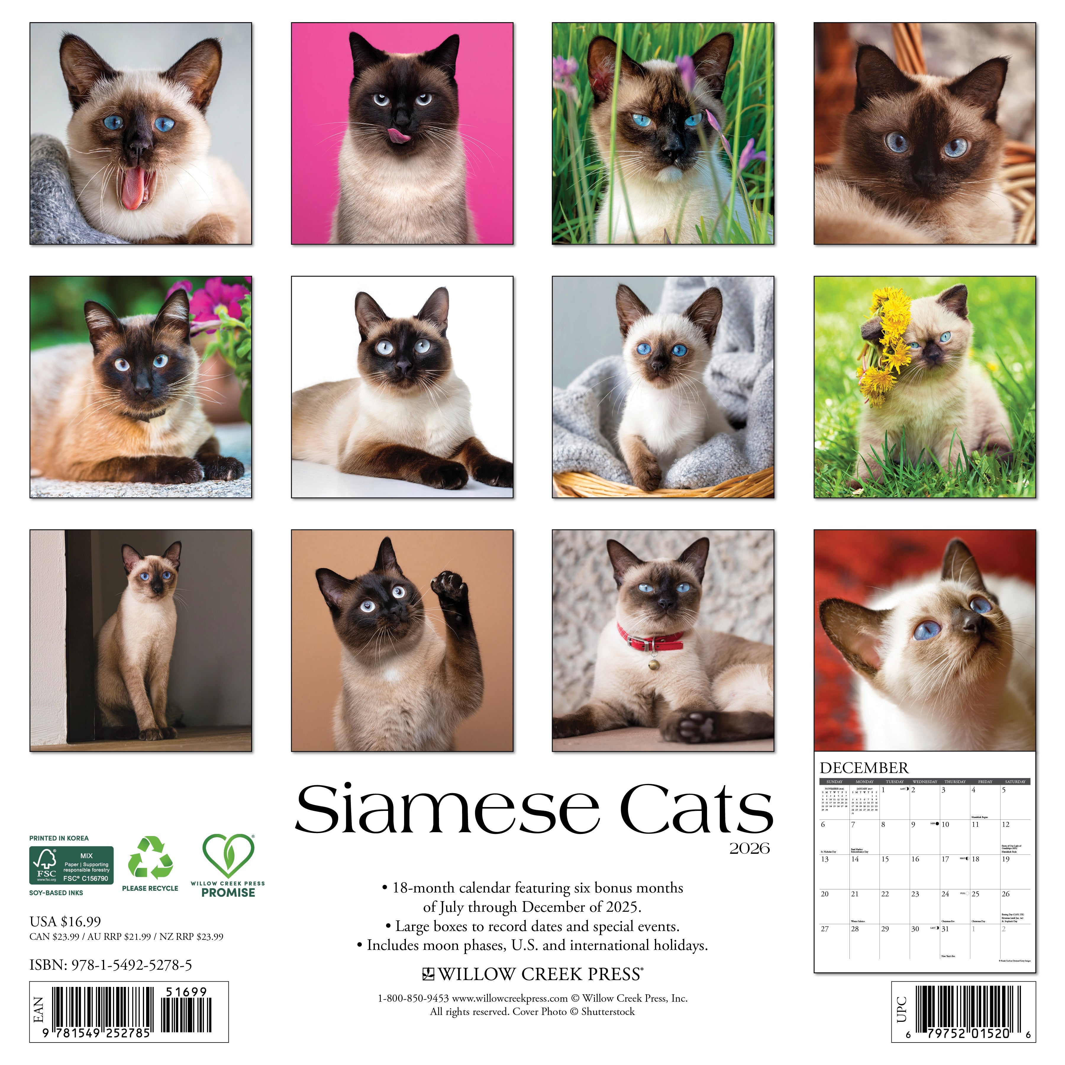 2026 Siamese Cats - Square Wall Calendar