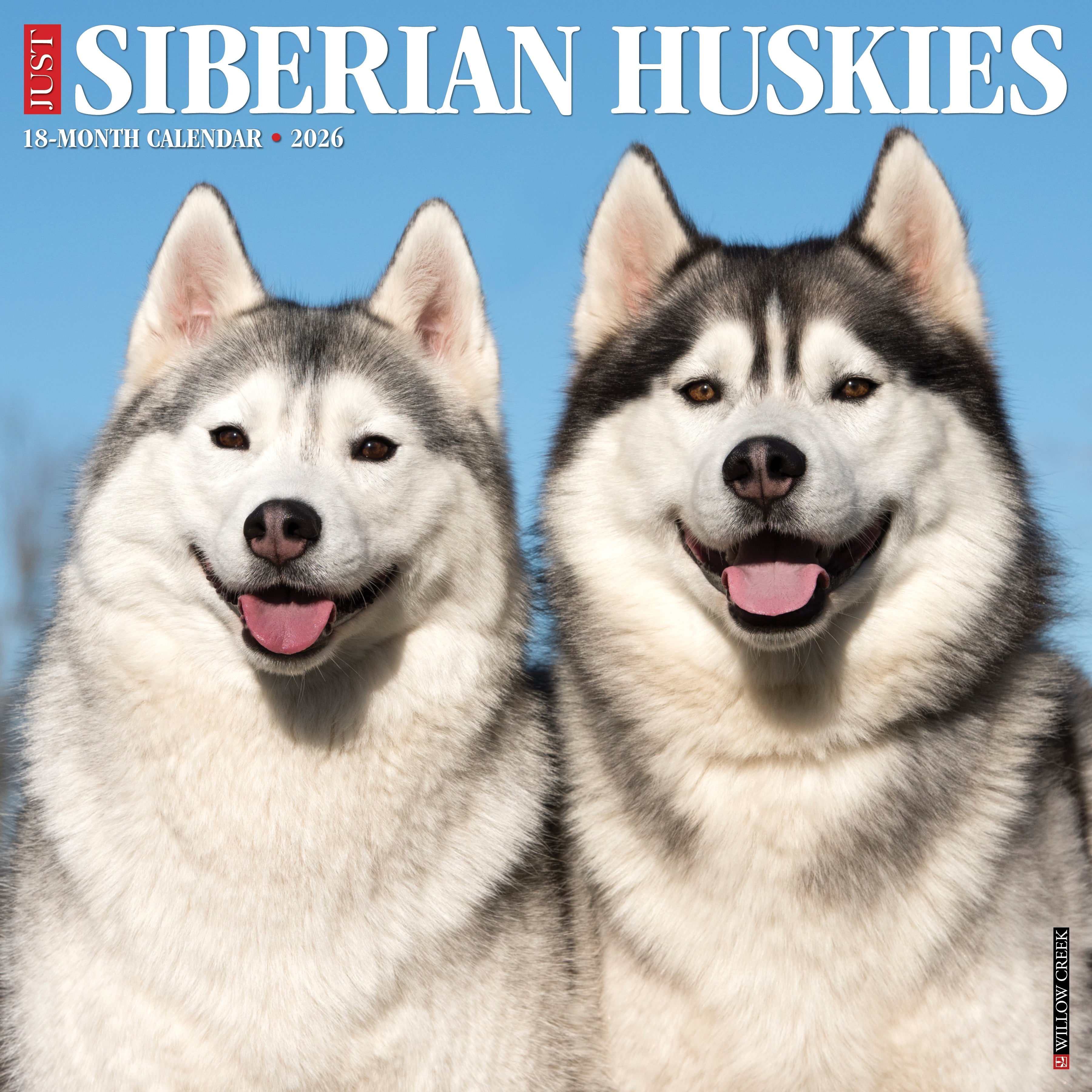 2026 Siberian Huskies - Square Wall Calendar