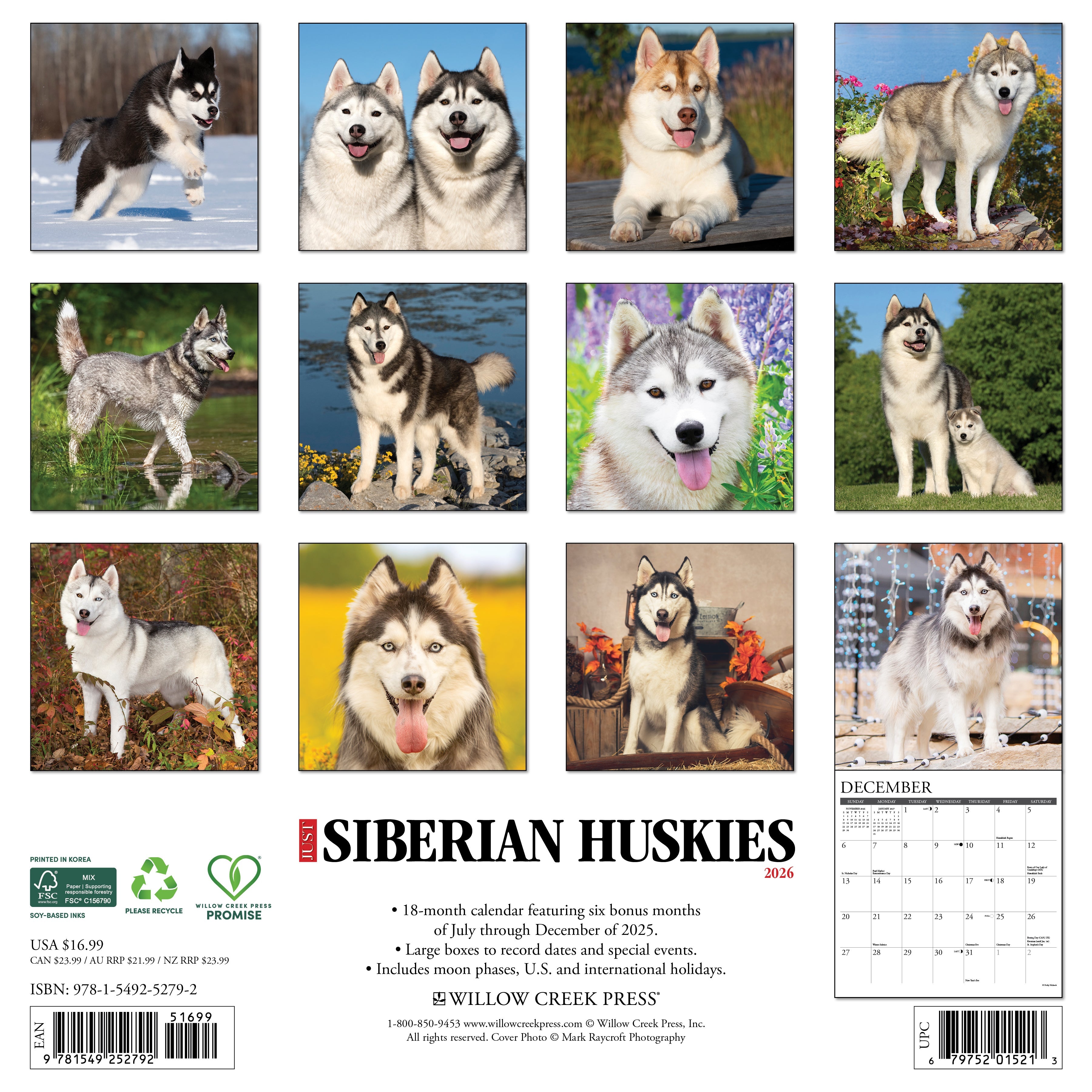 2026 Siberian Huskies - Square Wall Calendar