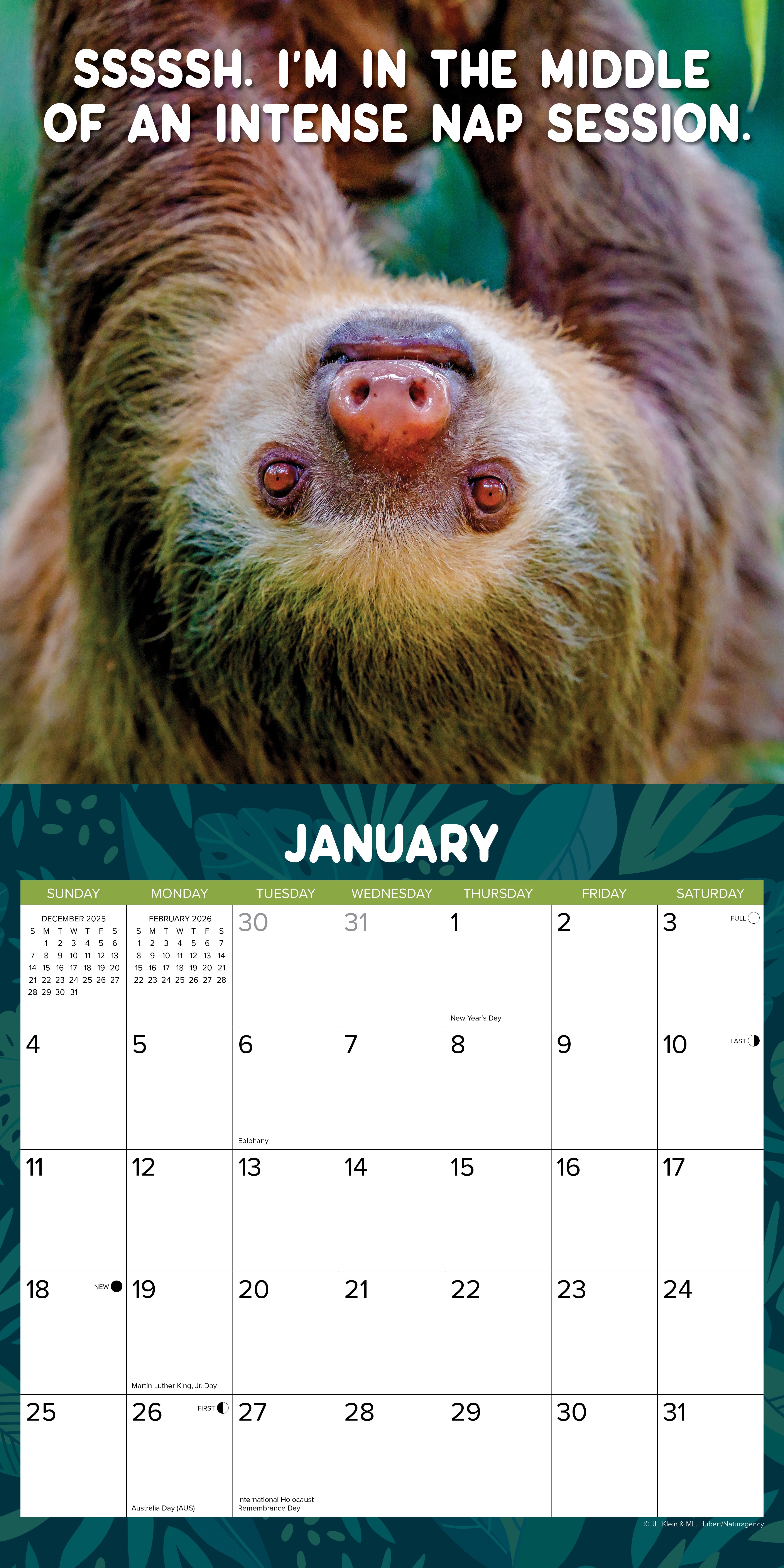 2026 Sloth Mode - Square Wall Calendar