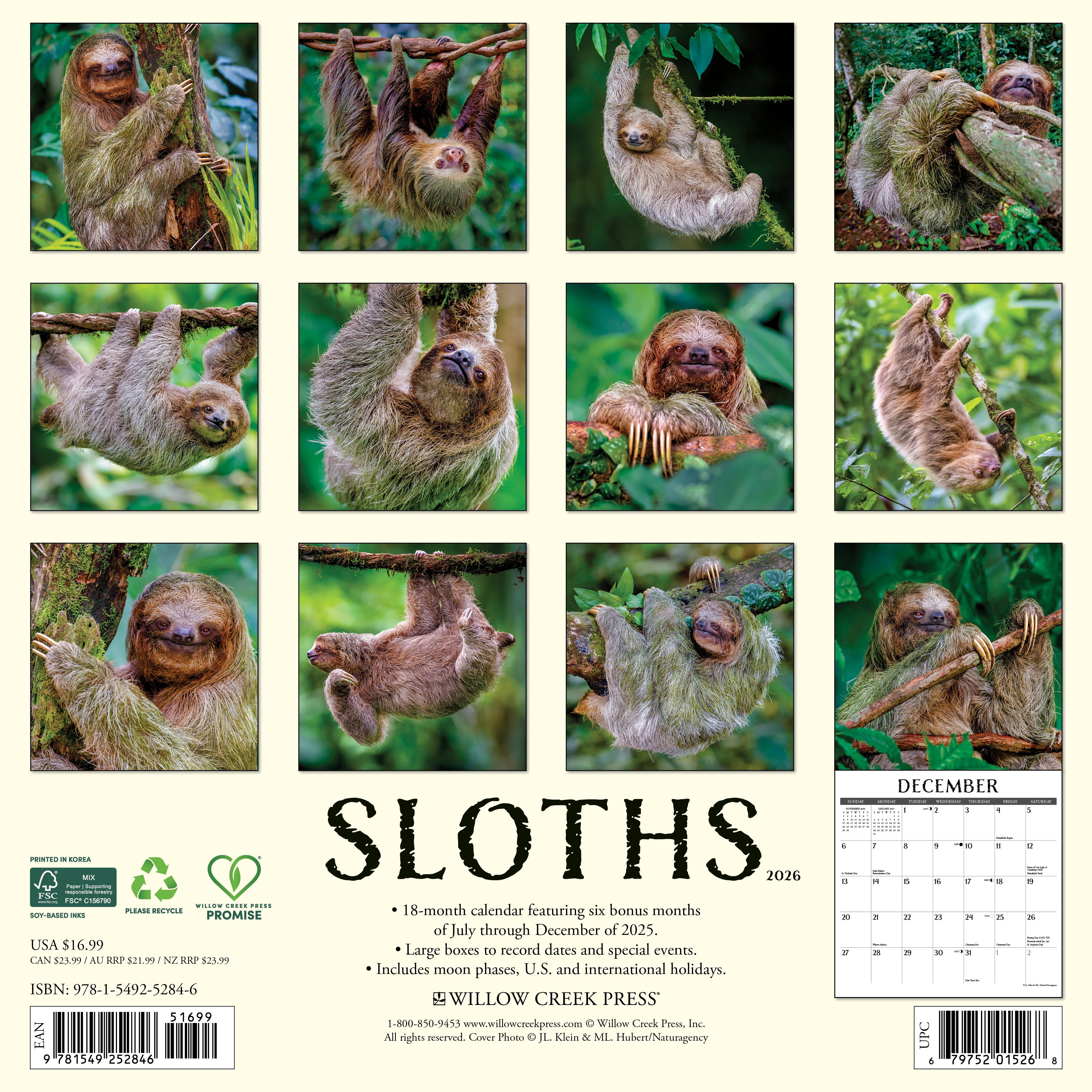 2026 Sloths - Square Wall Calendar