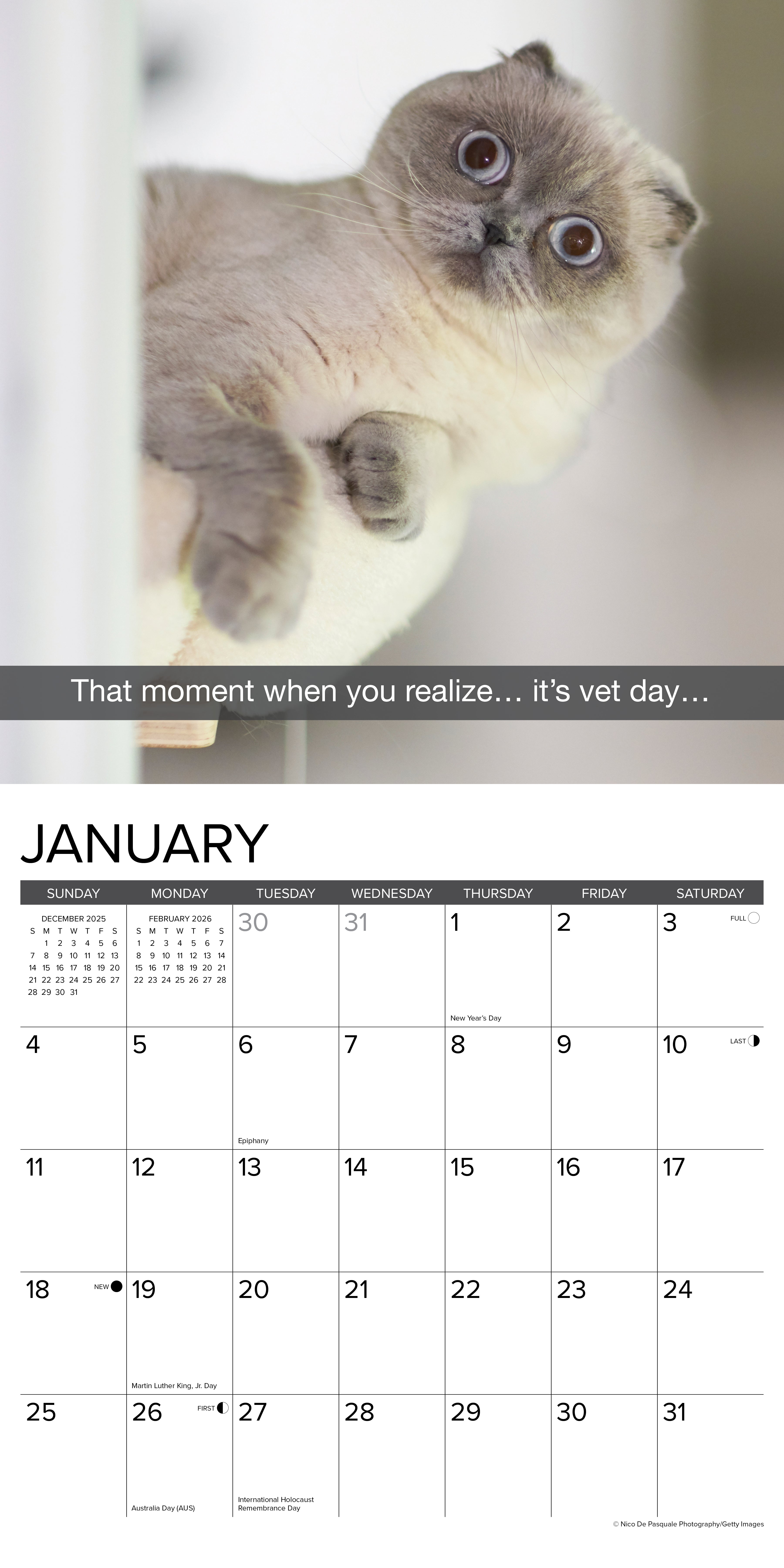 2026 Snapcats - Square Wall Calendar