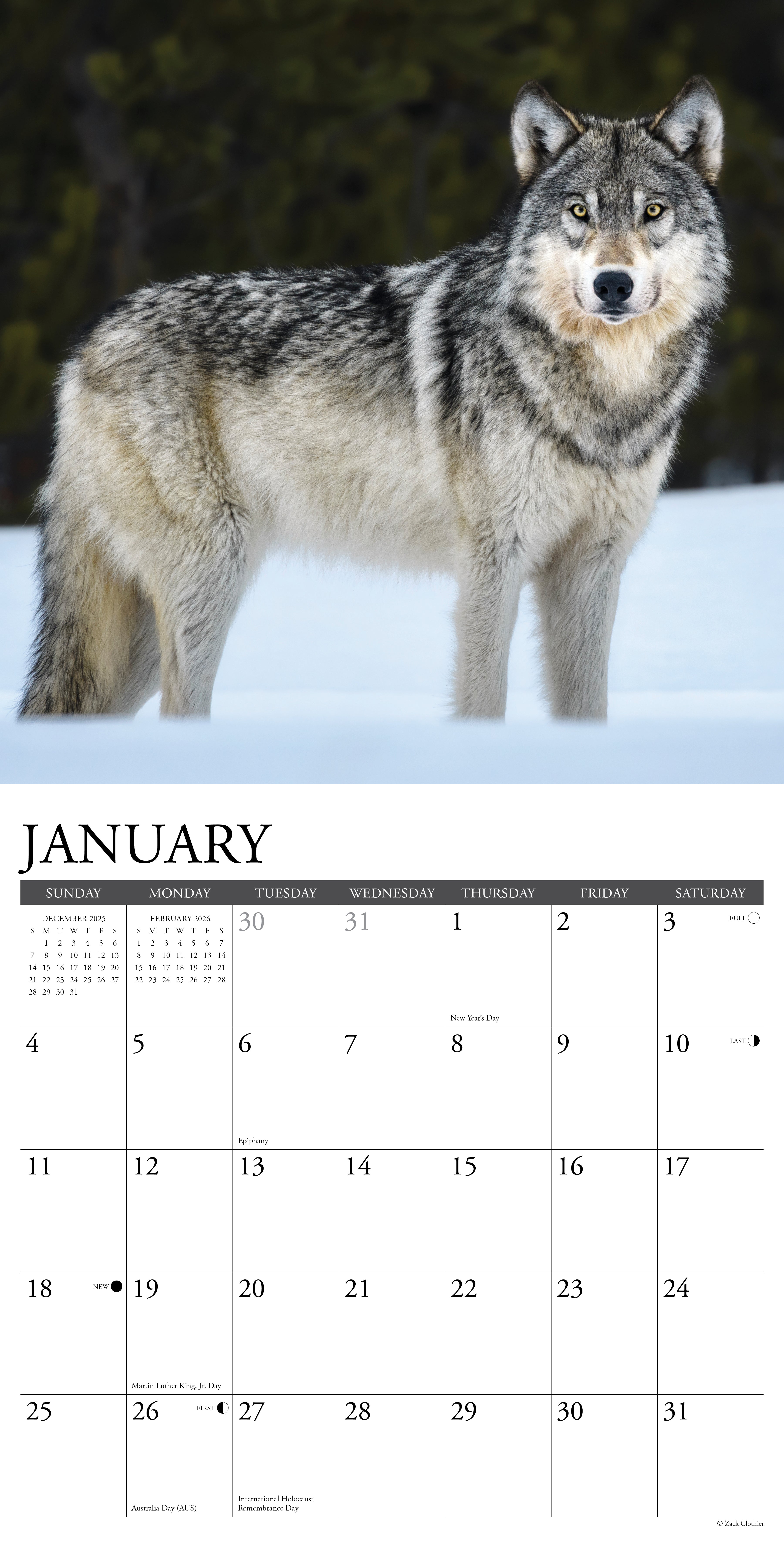 2026 Spirit of the Wolf - Square Wall Calendar