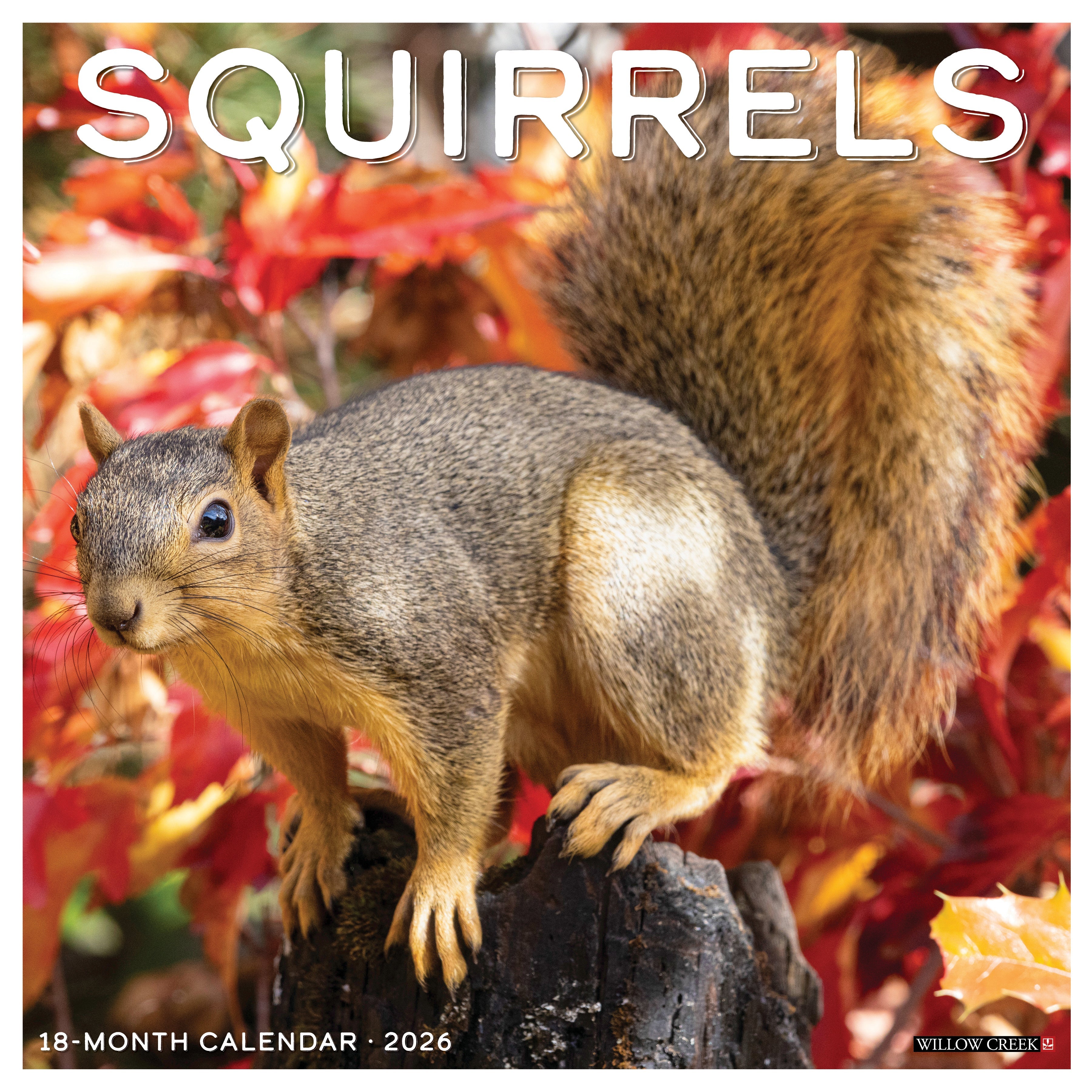 2026 Squirrels - Square Wall Calendar