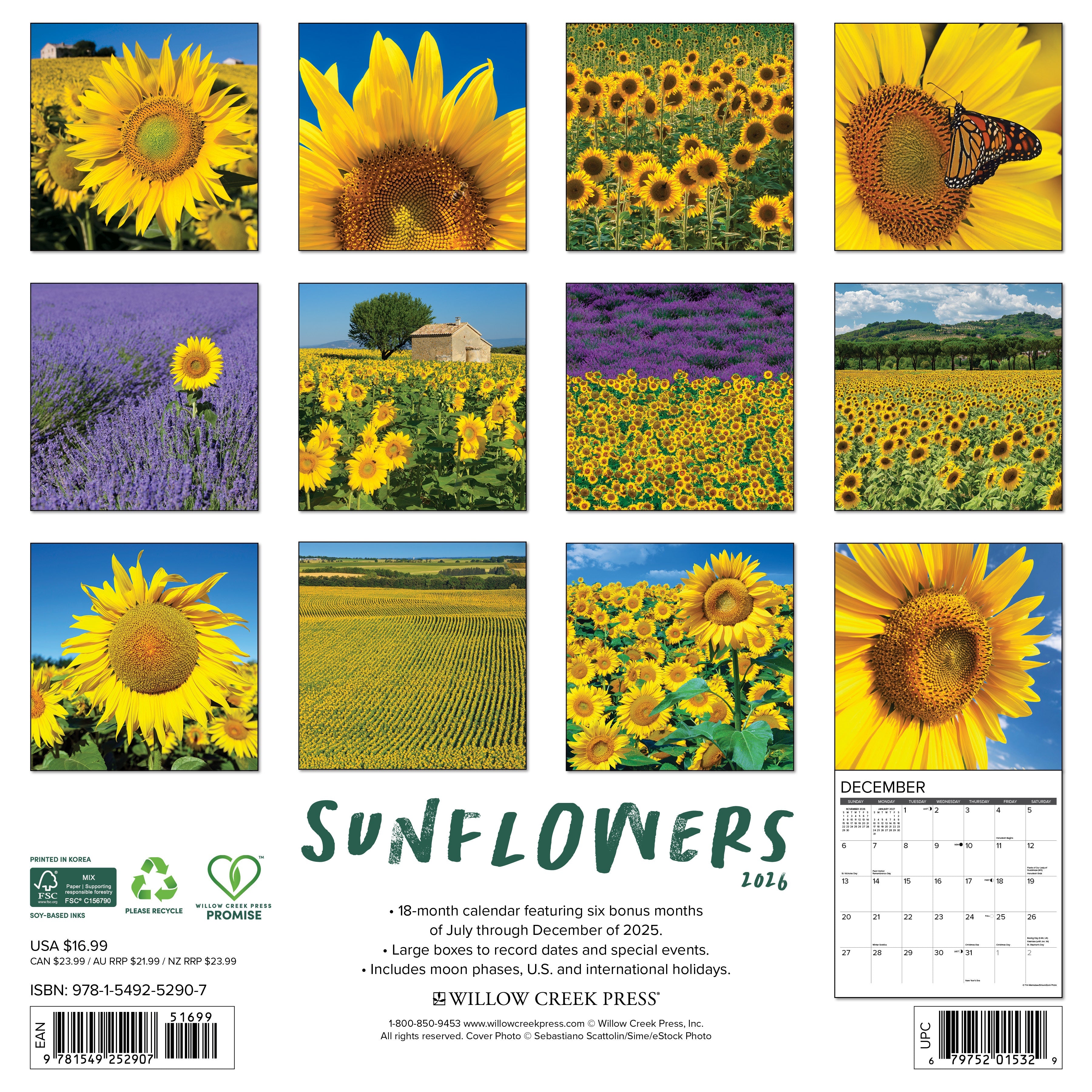 2026 Sunflowers - Square Wall Calendar