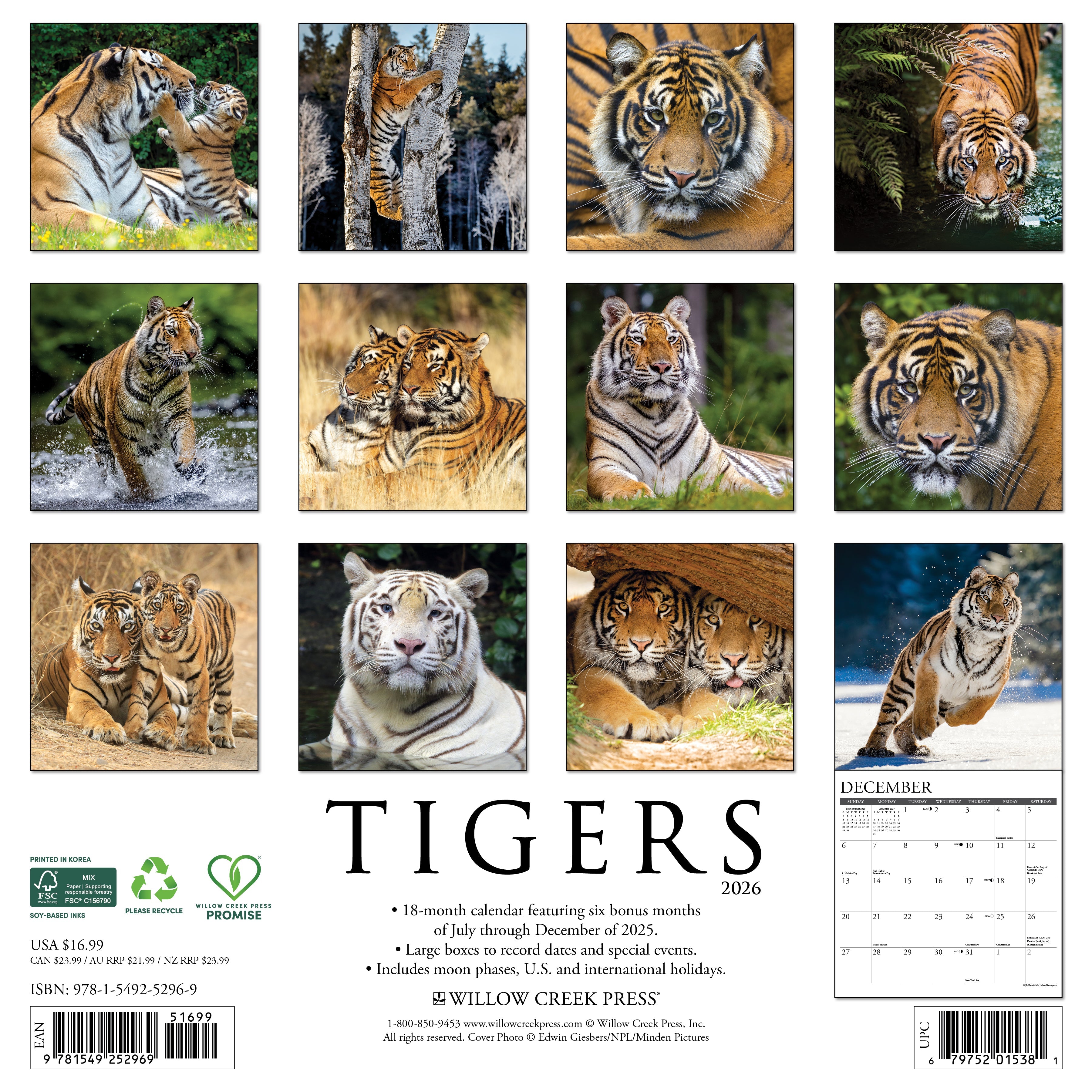 2026 Tigers - Square Wall Calendar