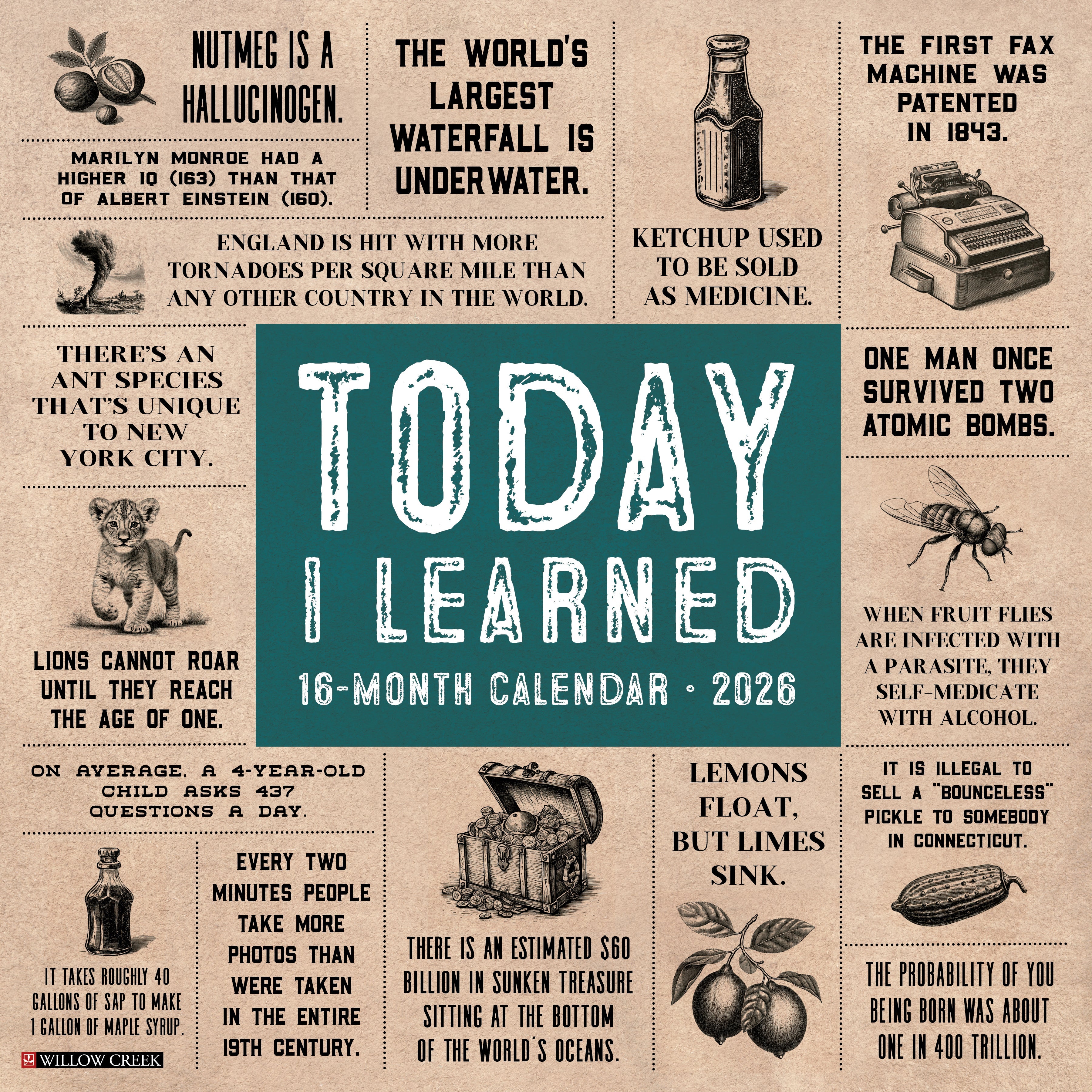 2026 Today I Learned - Square Wall Calendar