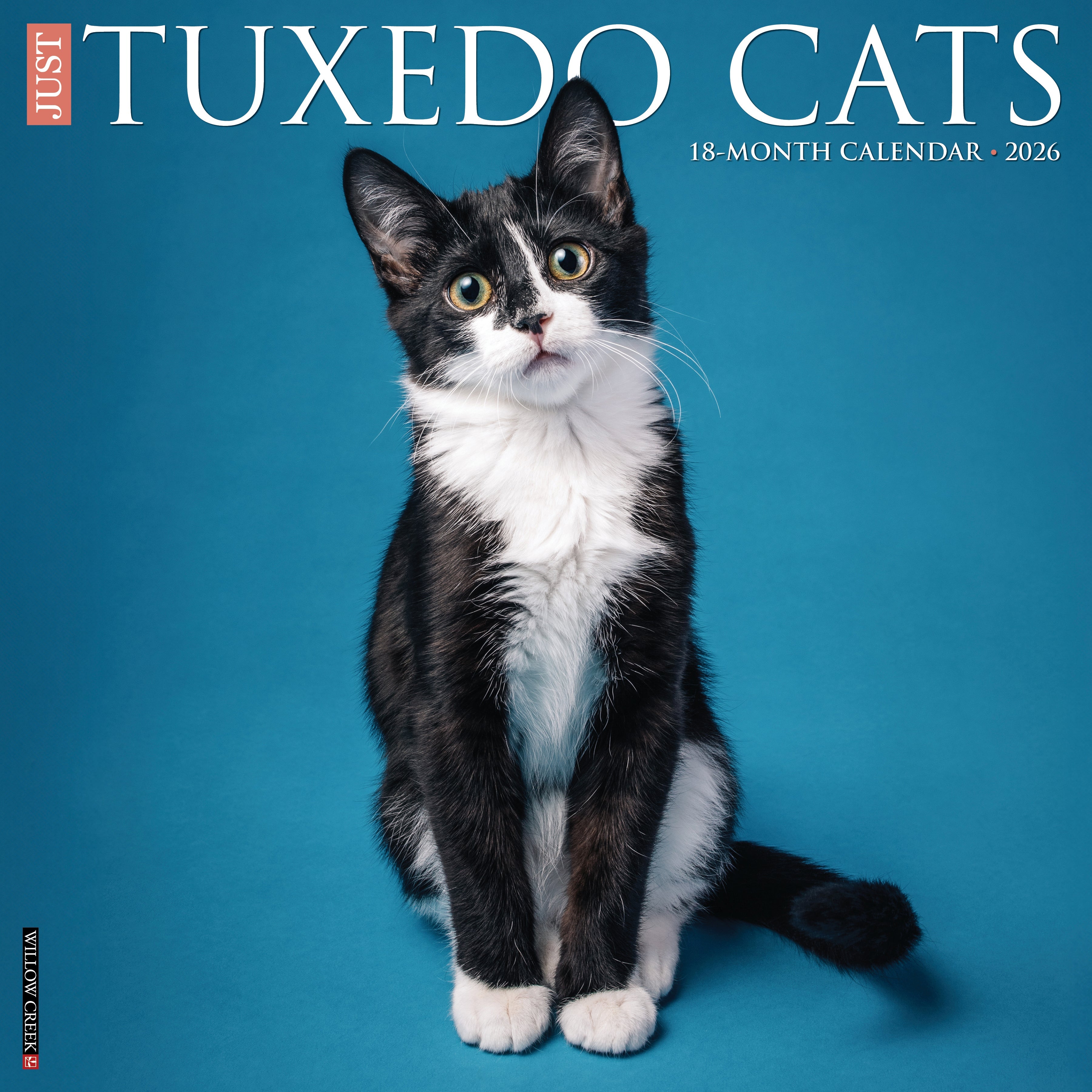 2026 Tuxedo Cats - Square Wall Calendar