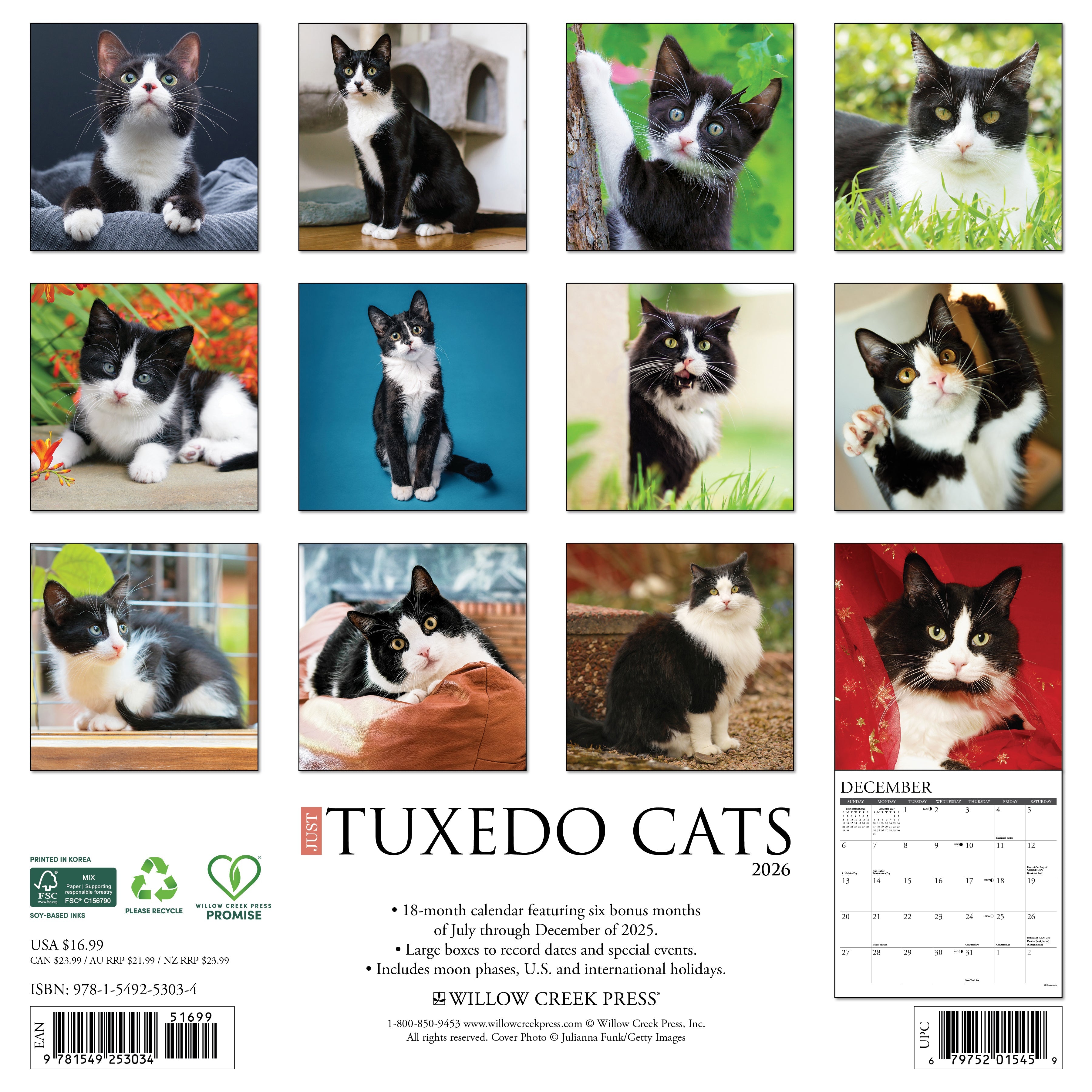 2026 Tuxedo Cats - Square Wall Calendar