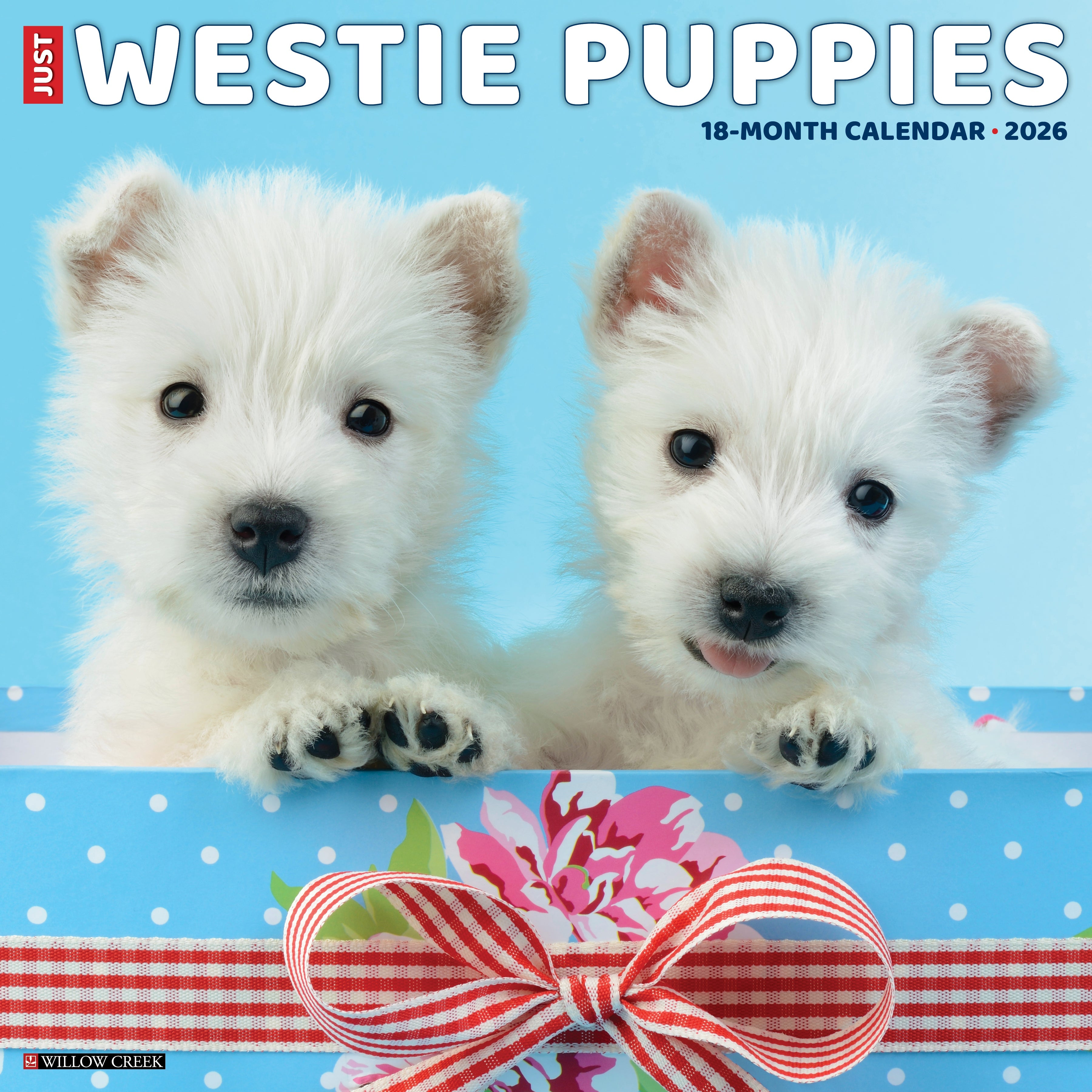 2026 Westie Puppies - Square Wall Calendar