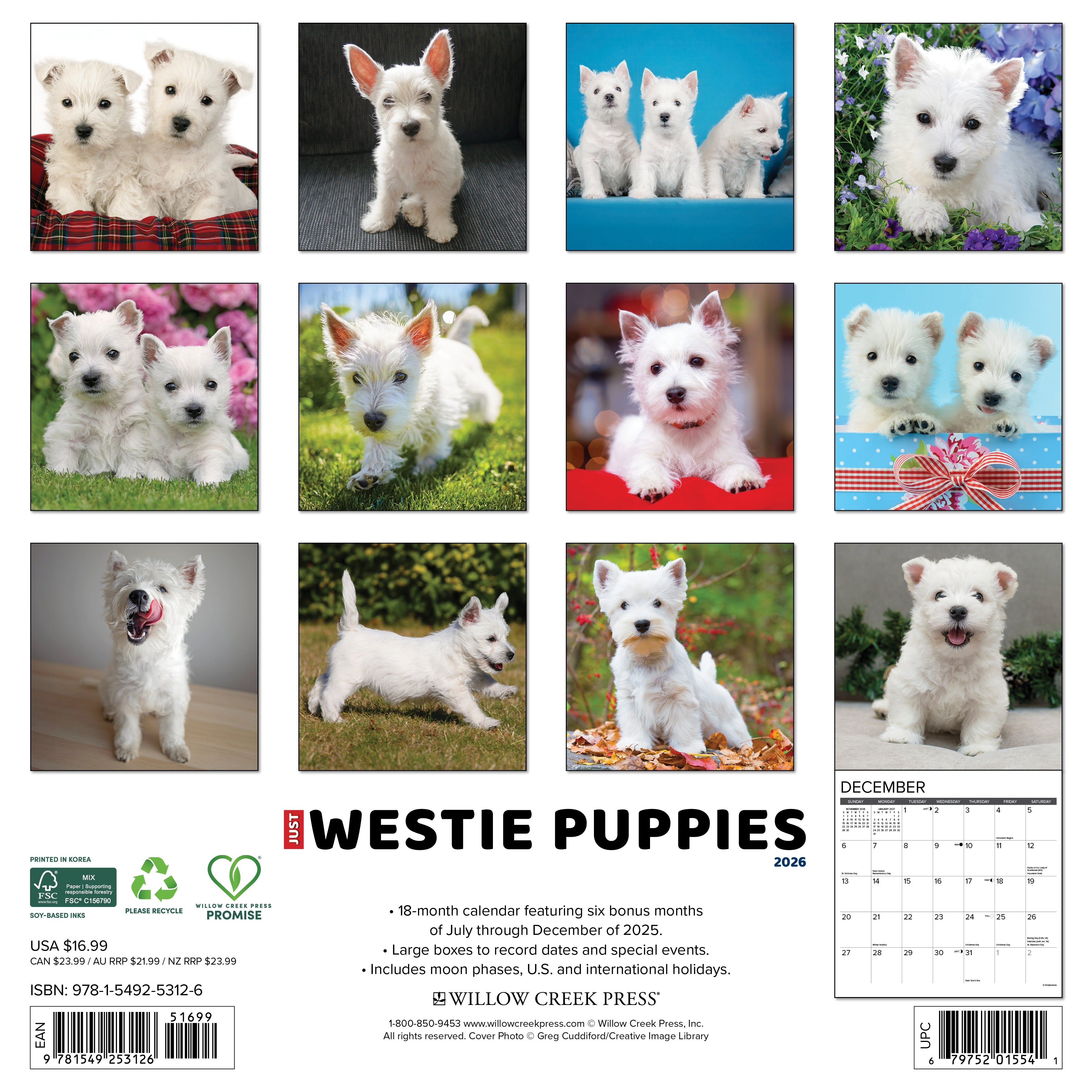 2026 Westie Puppies - Square Wall Calendar