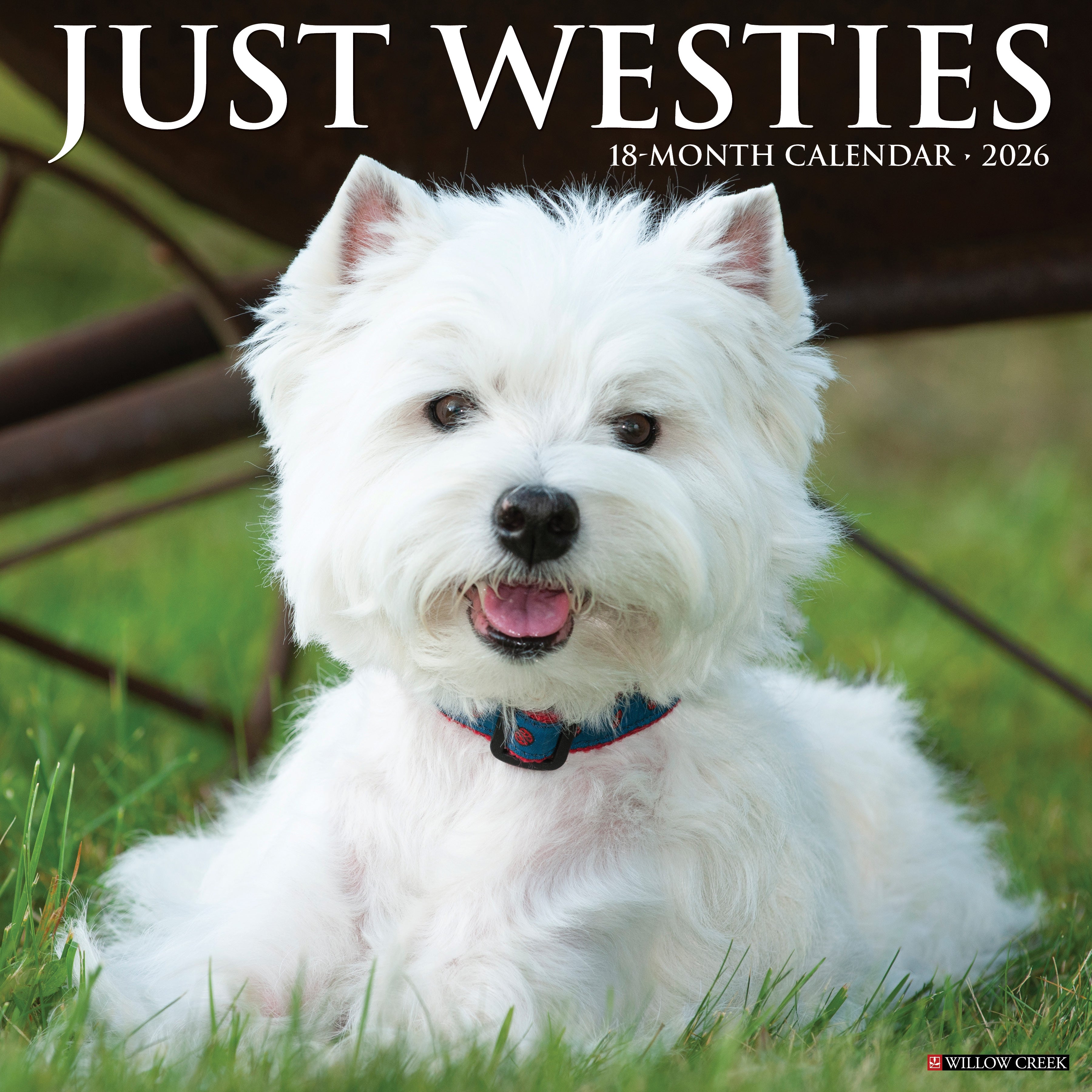 2026 Westies - Square Wall Calendar