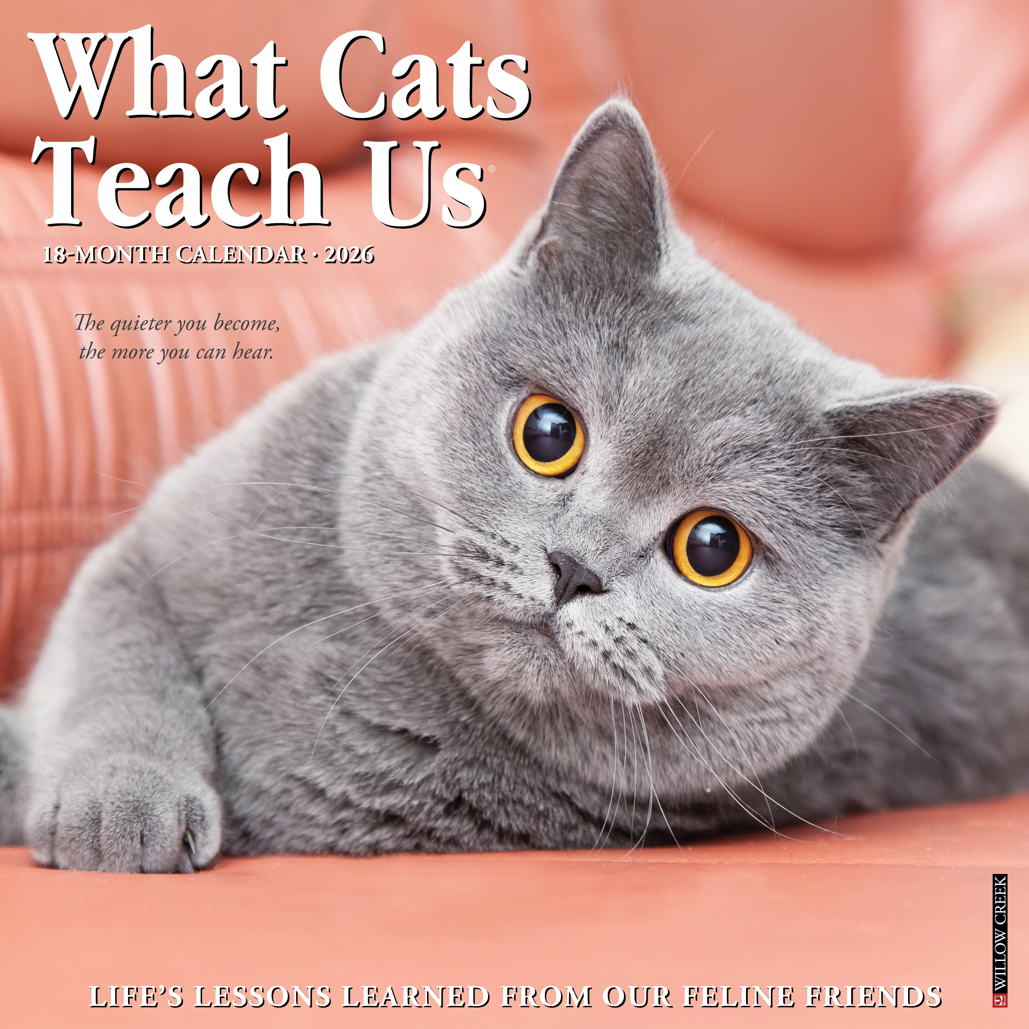 2026 What Cats Teach Us - Square Wall Calendar