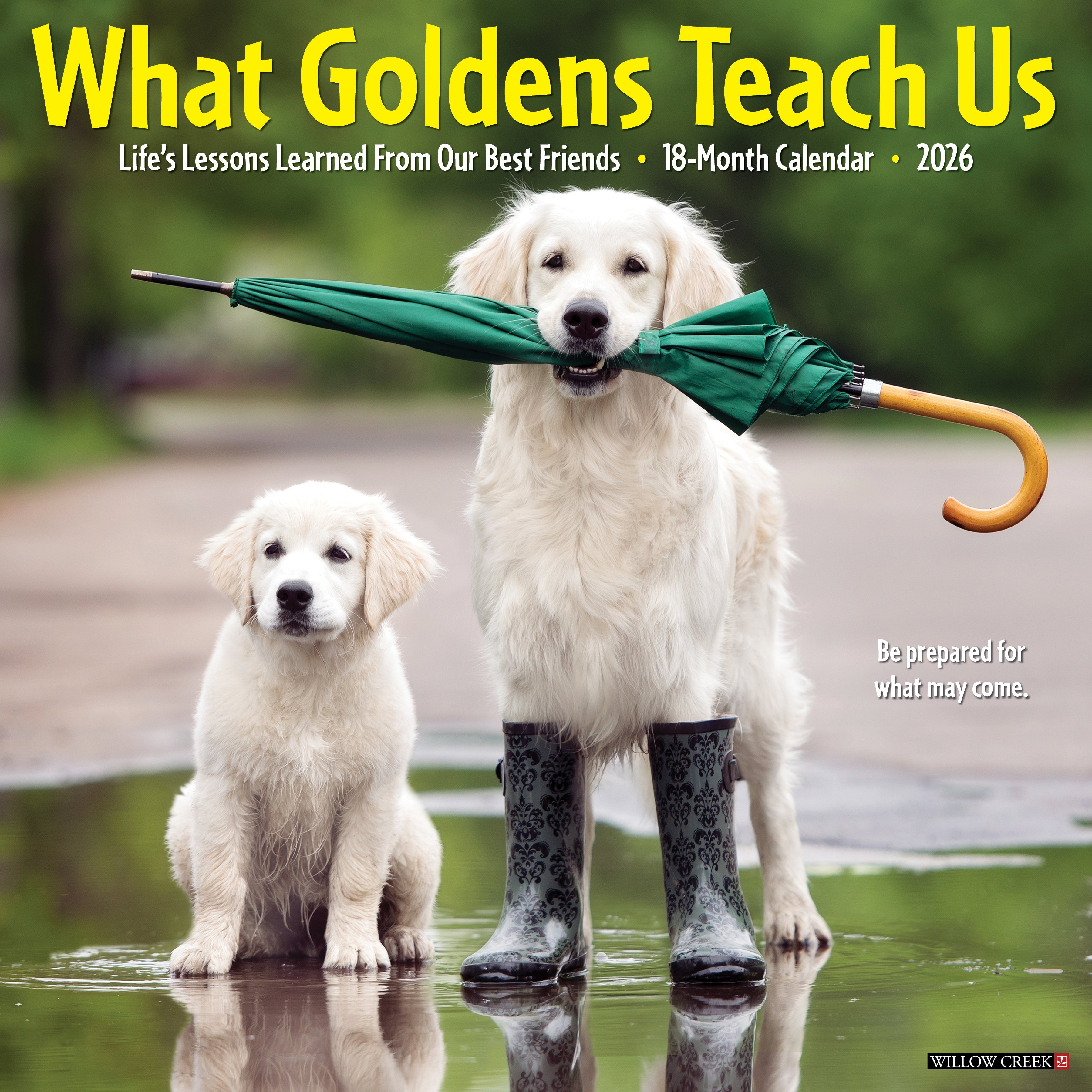 2026 What Goldens Teach Us - Square Wall Calendar