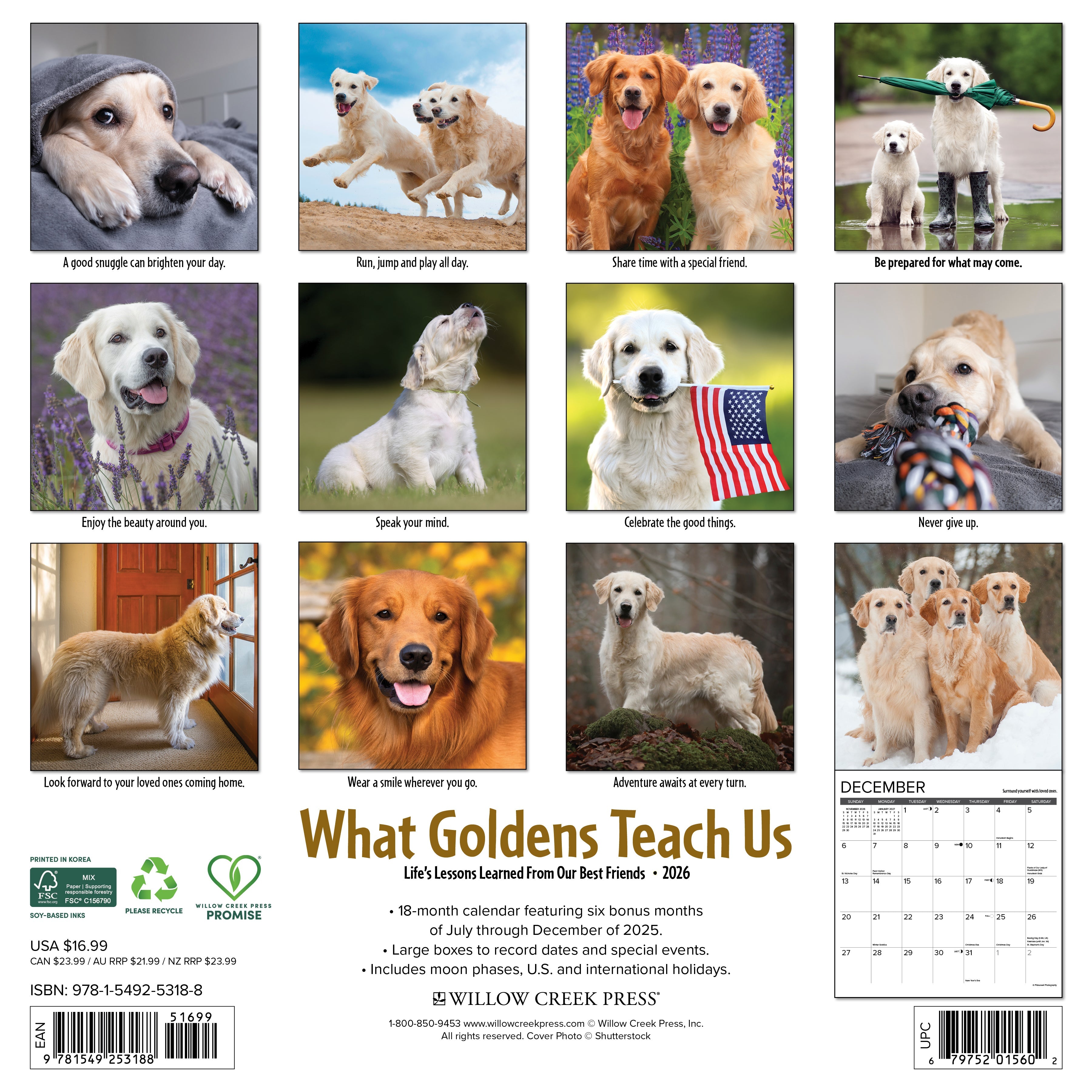 2026 What Goldens Teach Us - Square Wall Calendar