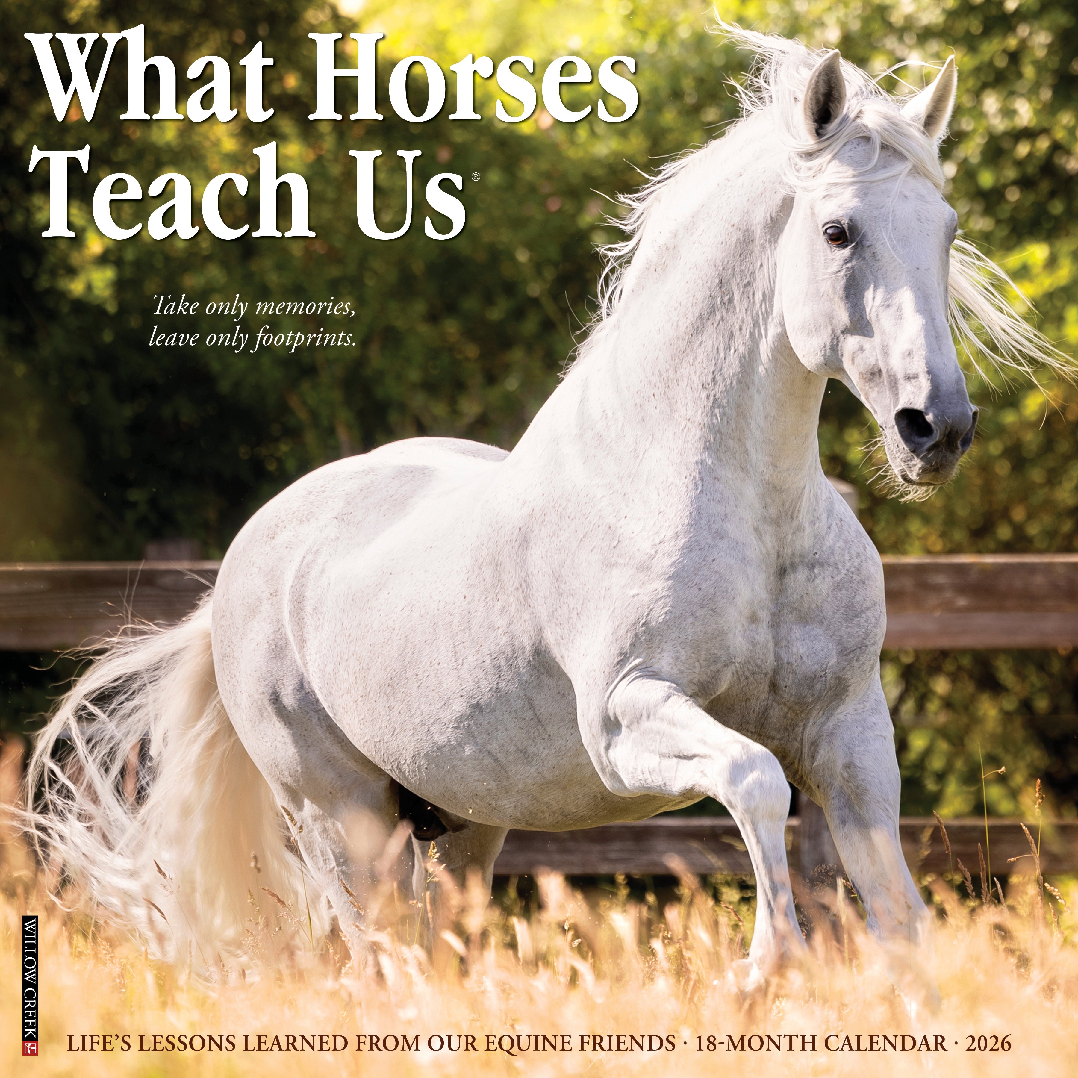 2026 What Horses Teach Us - Square Wall Calendar
