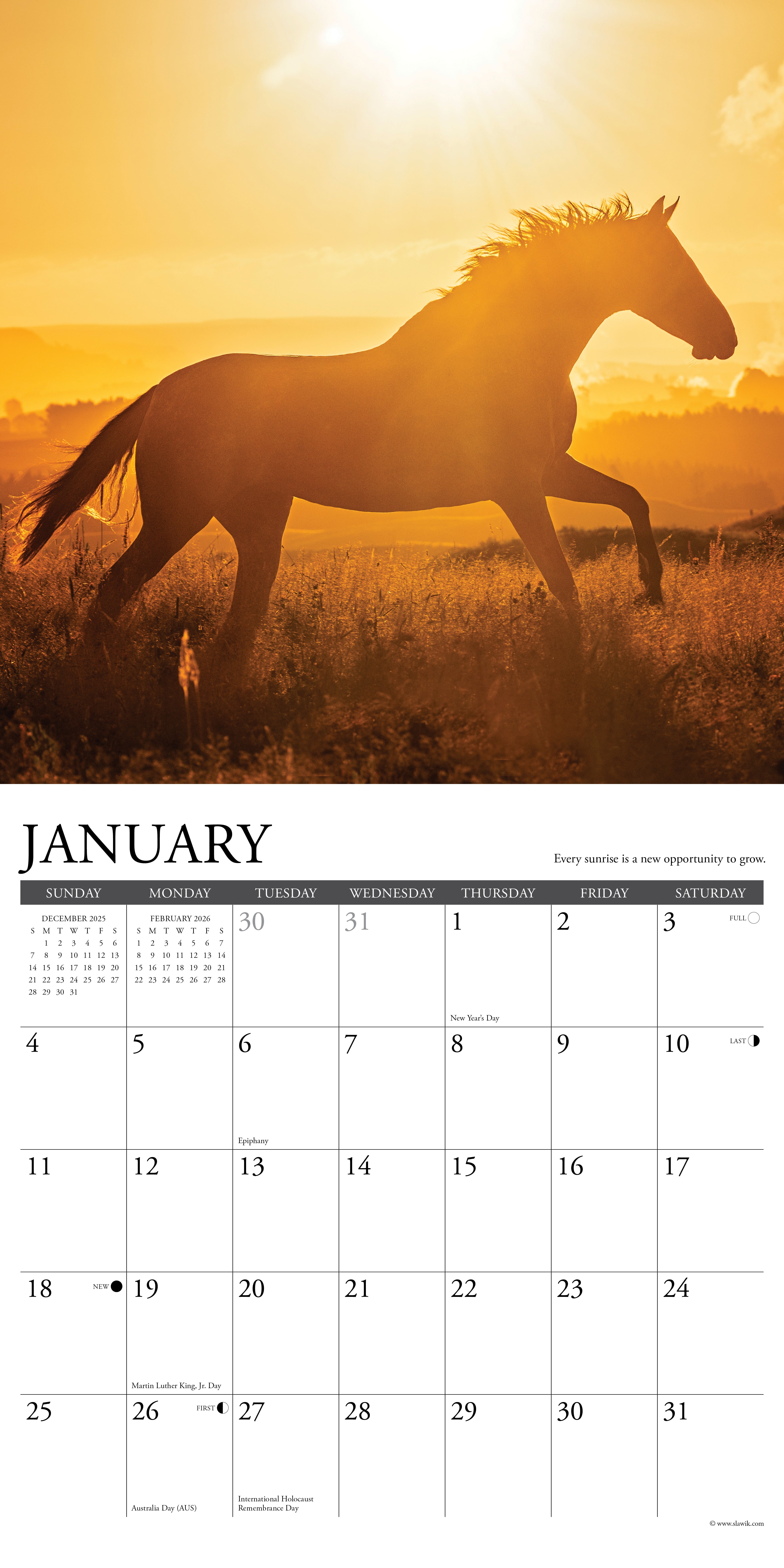 2026 What Horses Teach Us - Square Wall Calendar