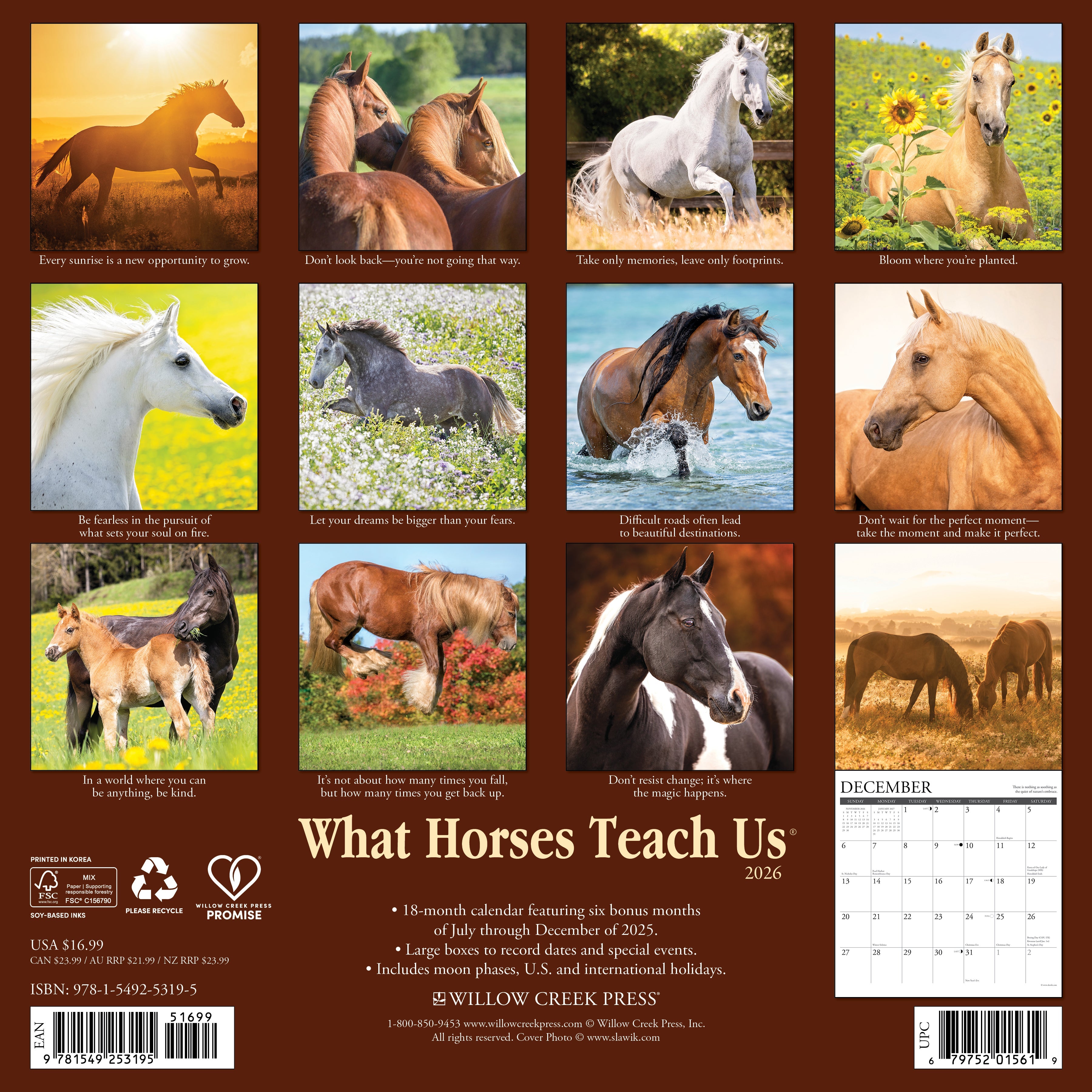 2026 What Horses Teach Us - Square Wall Calendar