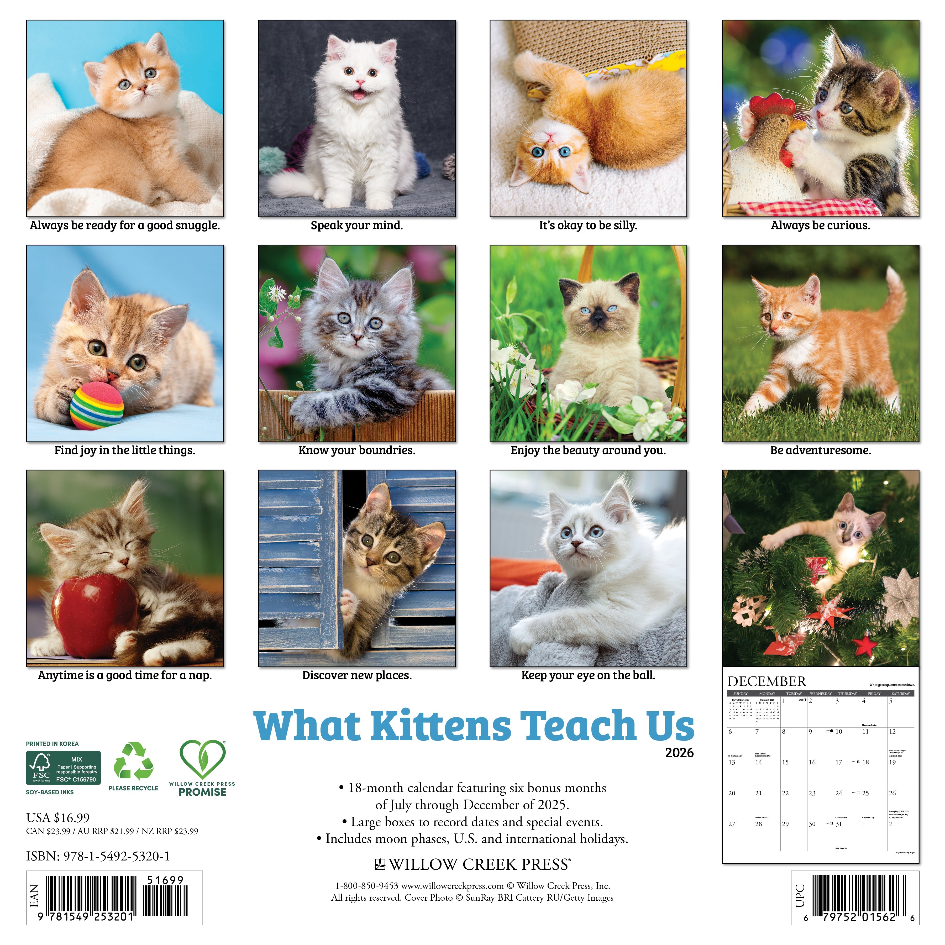 2026 What Kittens Teach Us - Square Wall Calendar