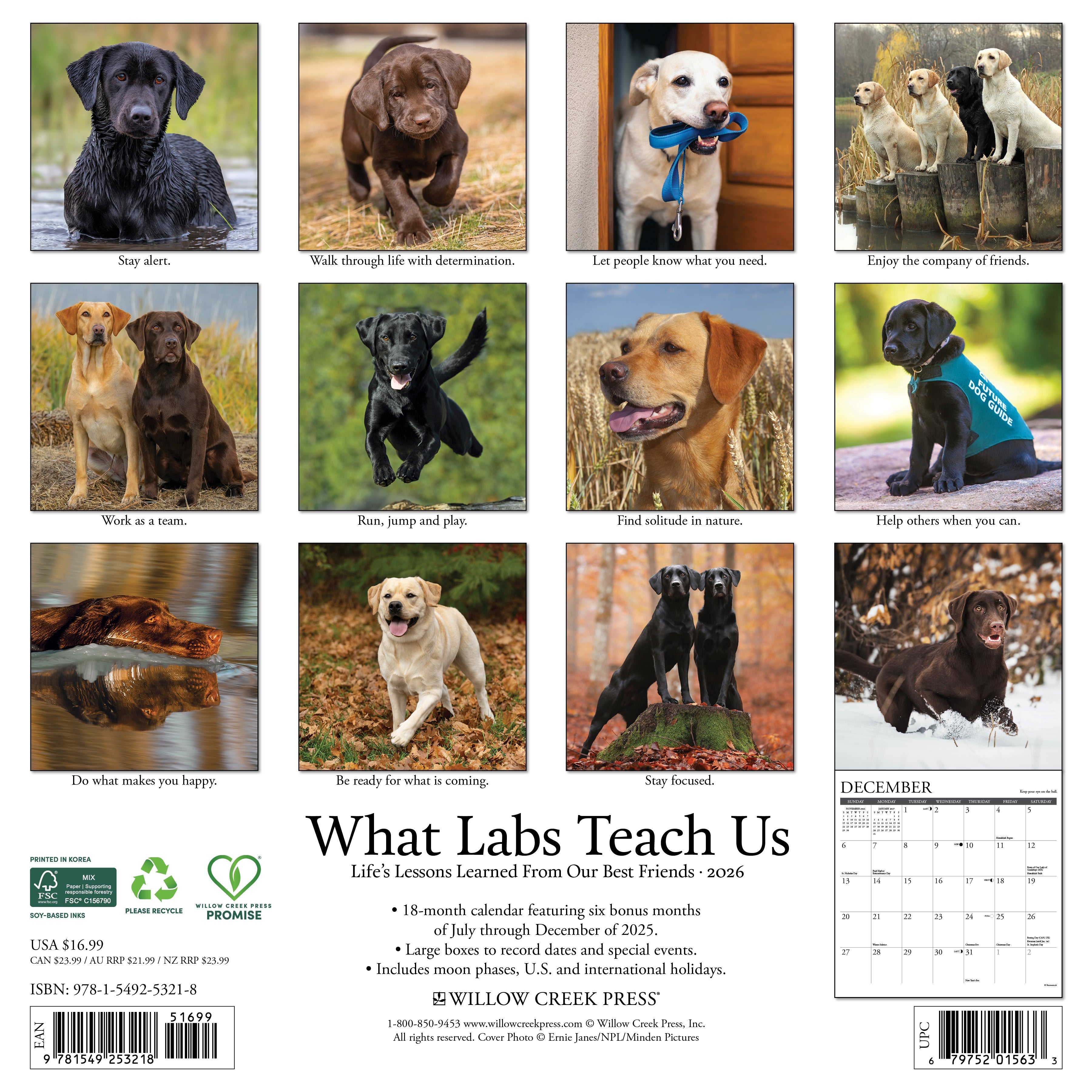 2026 What Labs Teach Us - Square Wall Calendar