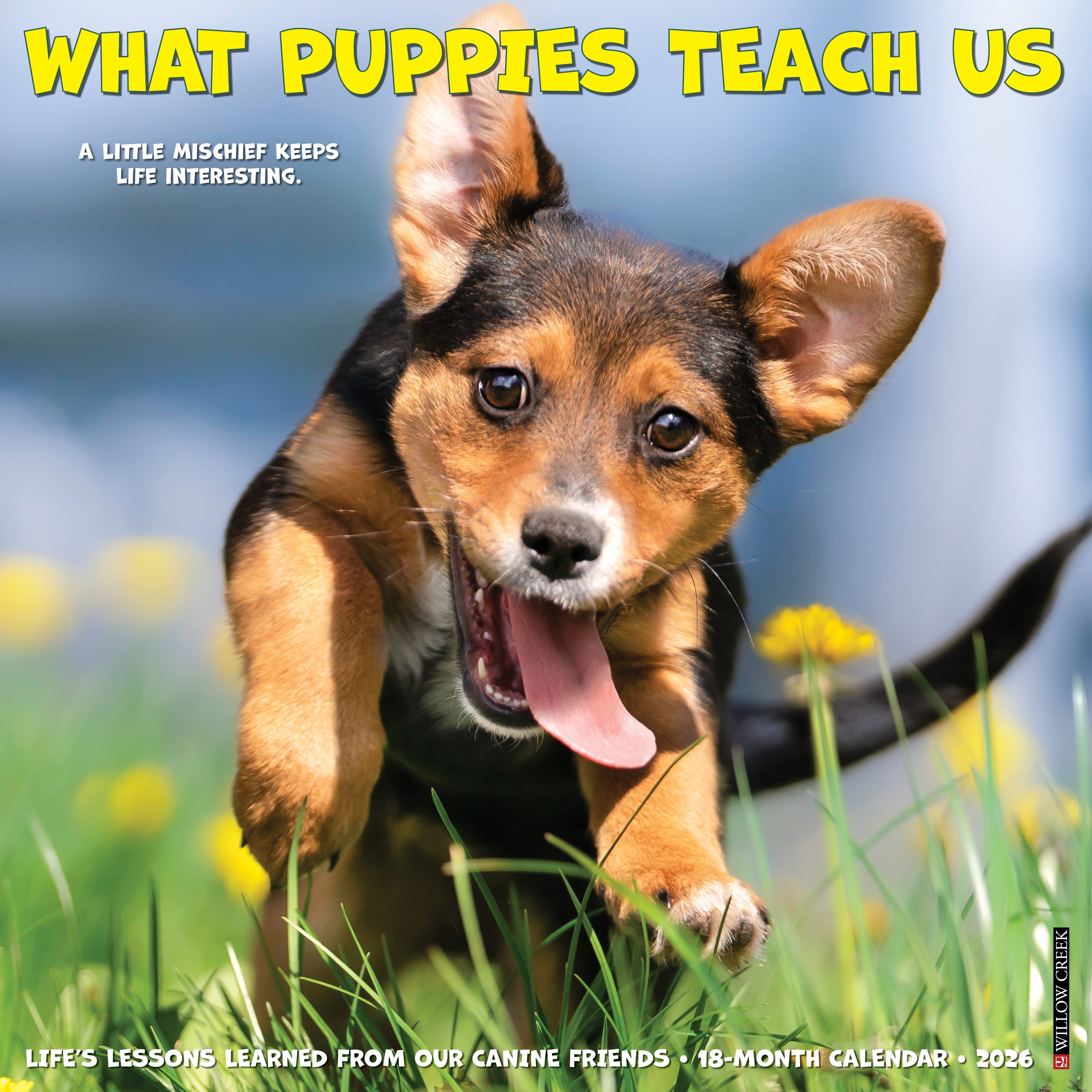 2026 What Puppies Teach Us - Square Wall Calendar
