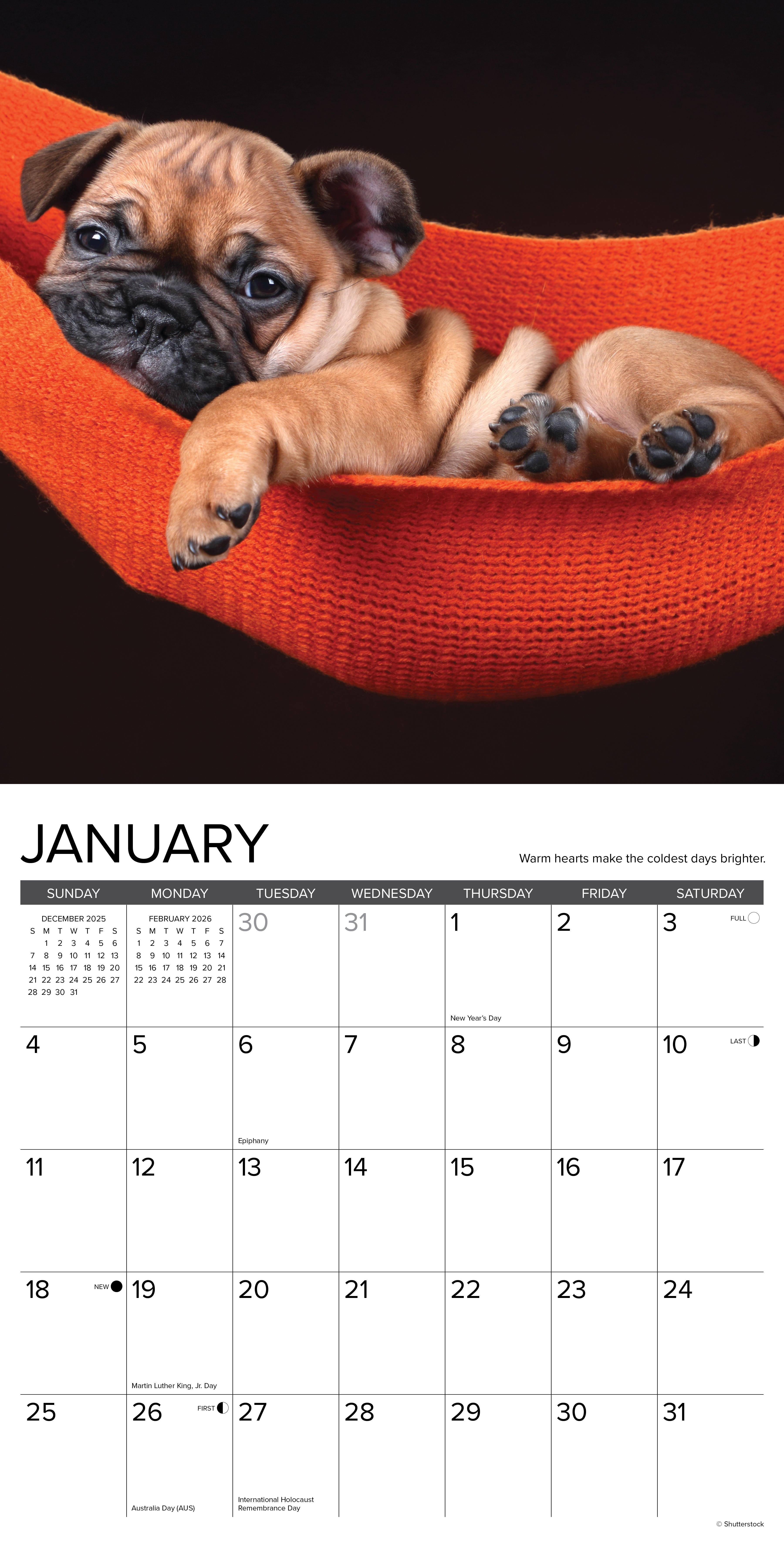 2026 What Puppies Teach Us - Square Wall Calendar