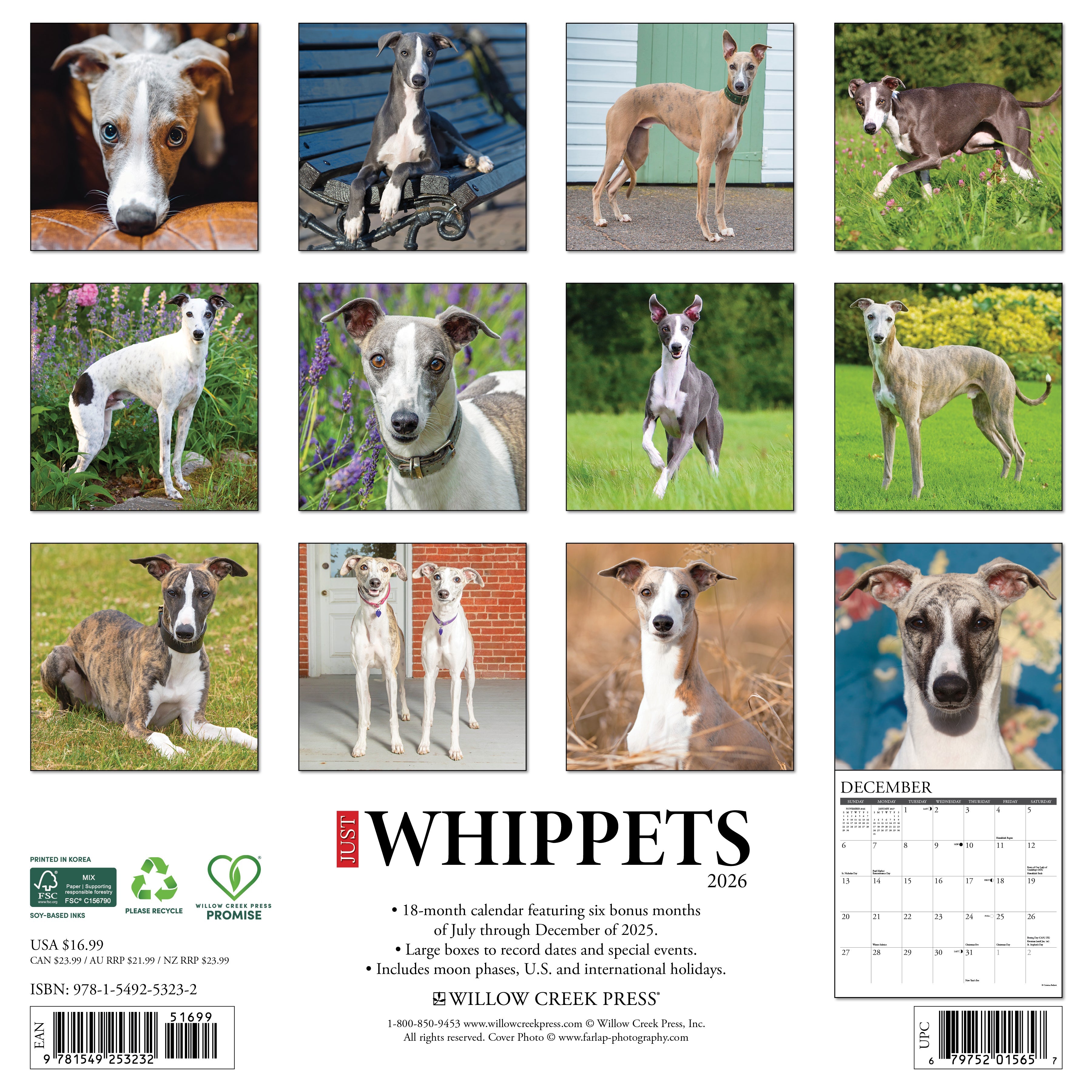 2026 Whippets - Square Wall Calendar