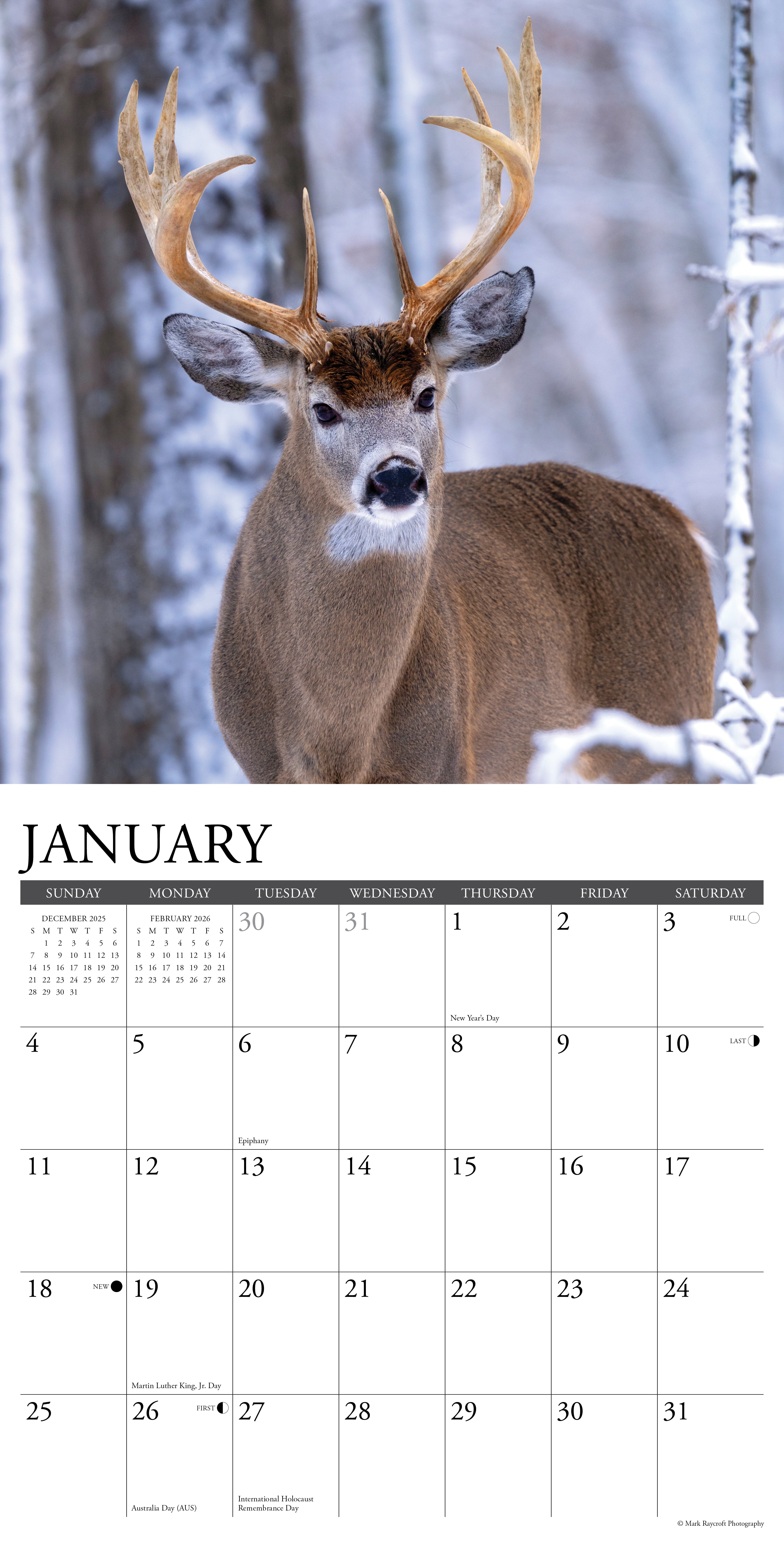 2026 Whitetail Monarchs - Square Wall Calendar