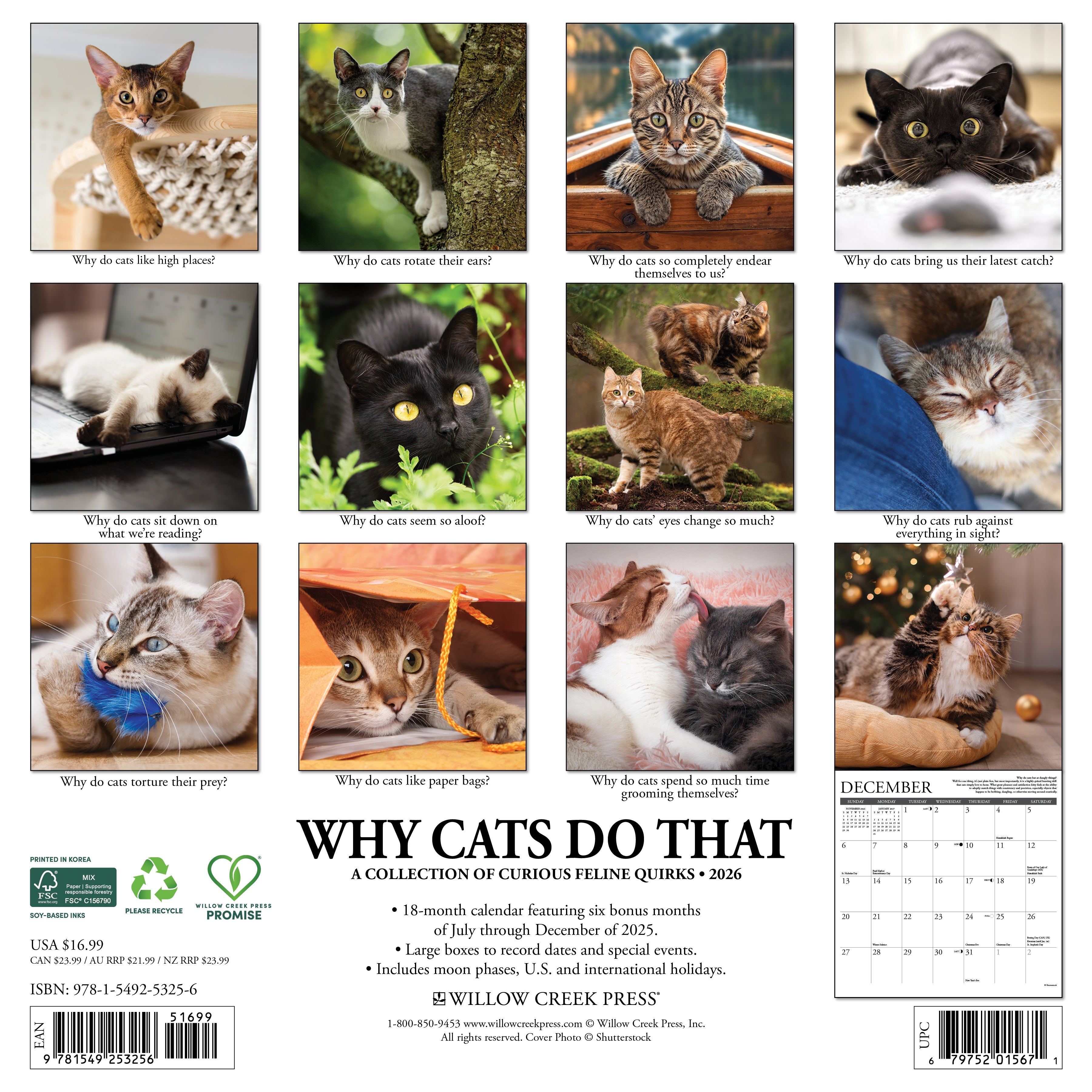 2026 Why Cats Do That - Square Wall Calendar