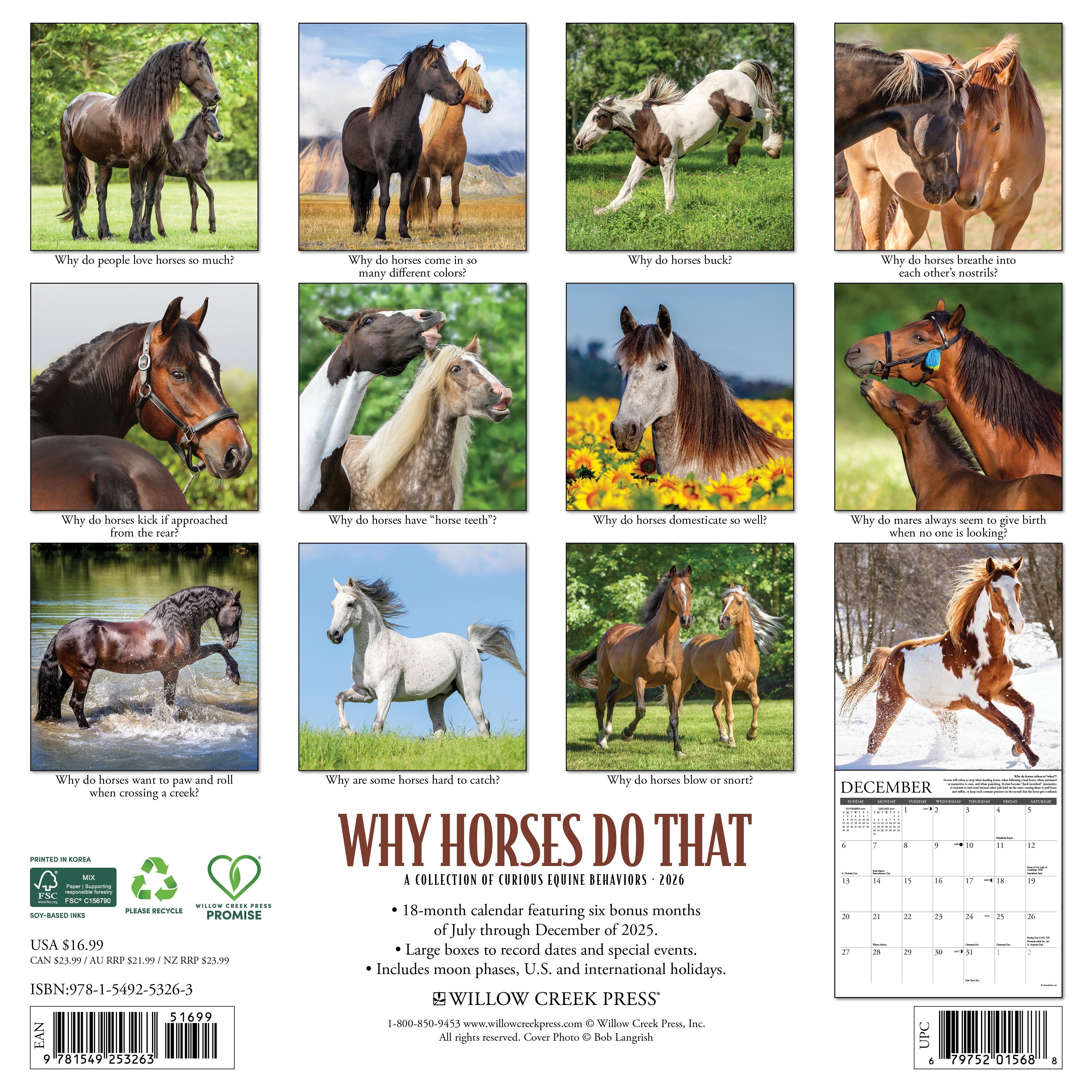 2026 Why Horses Do That - Square Wall Calendar