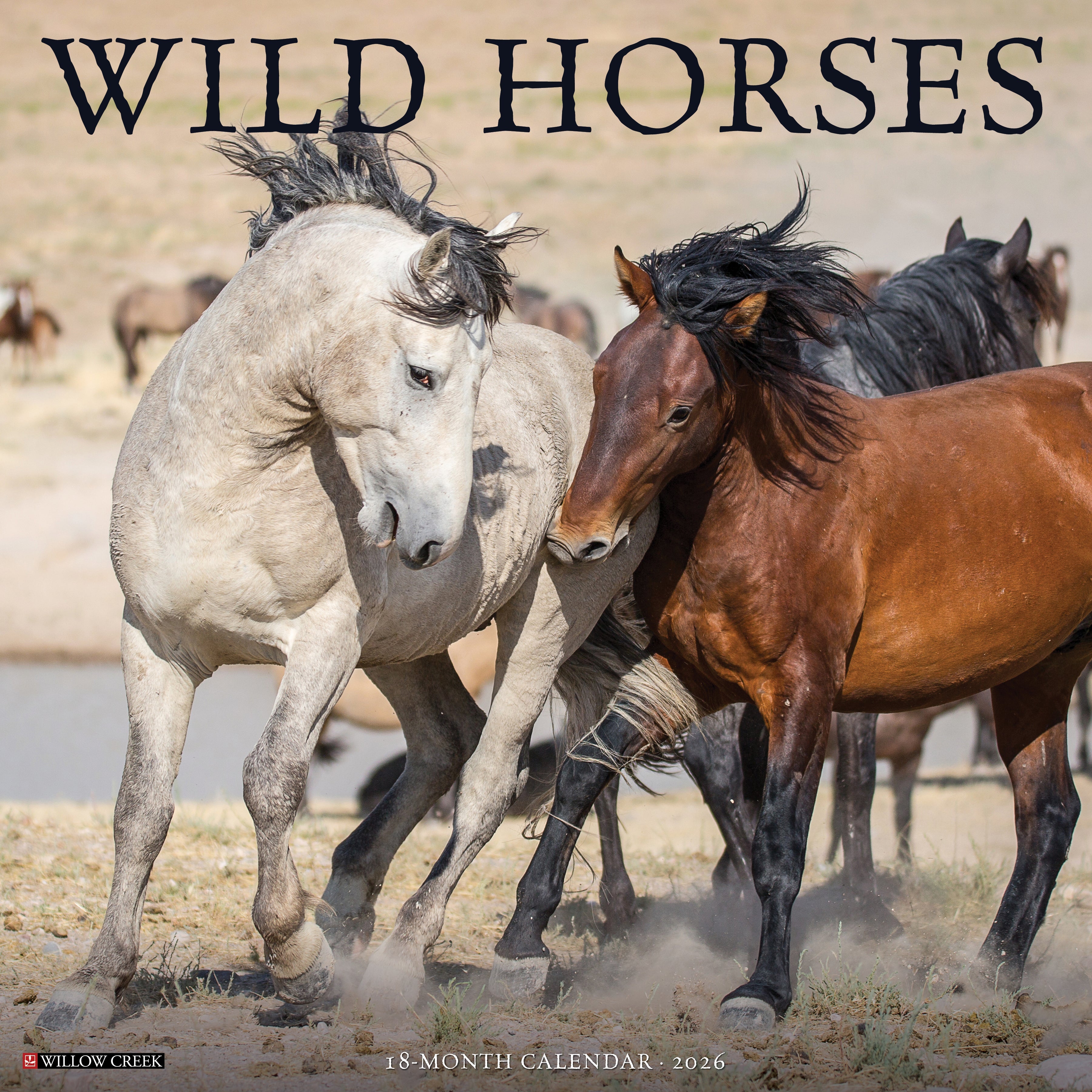 2026 Wild Horses - Square Wall Calendar