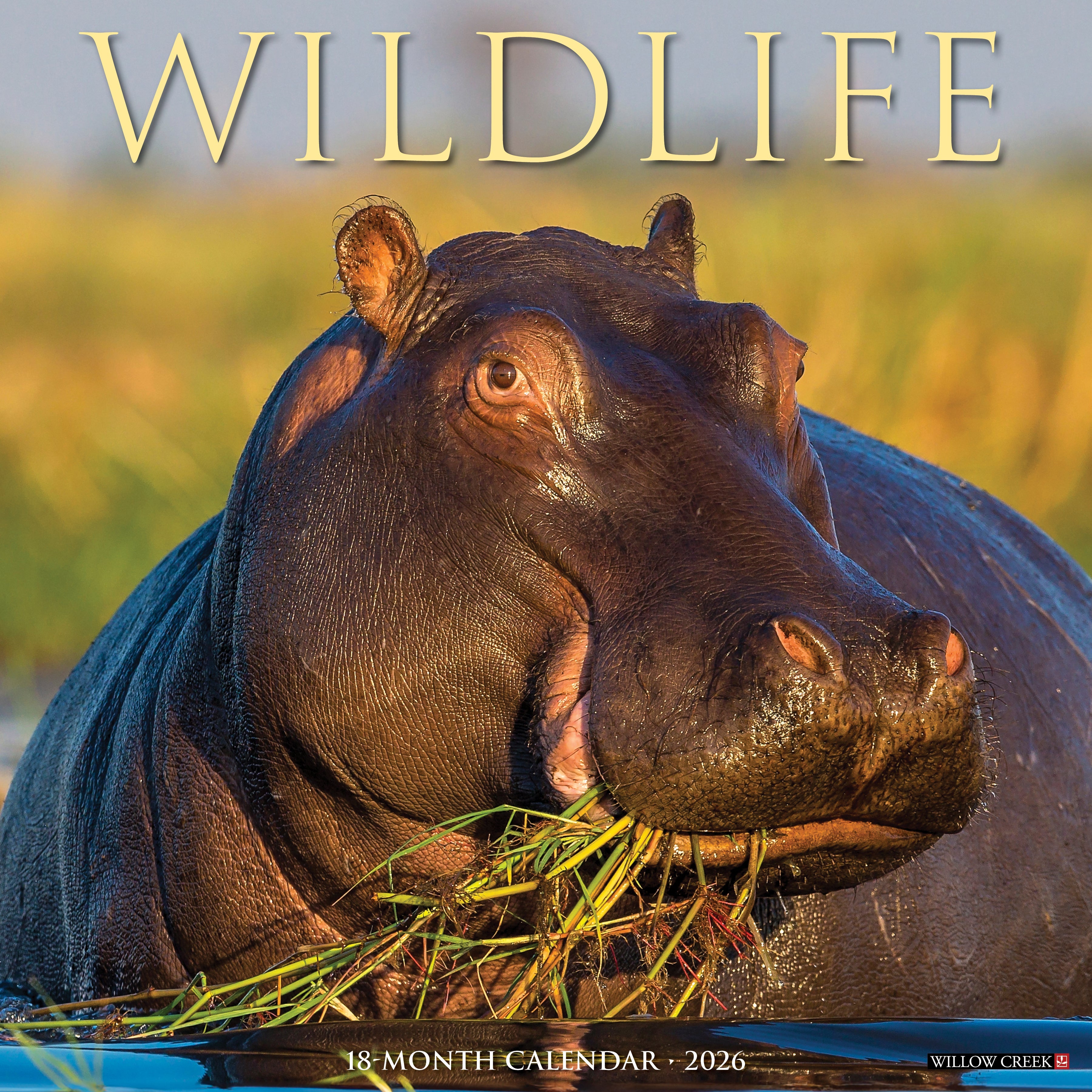 2026 Wildlife - Square Wall Calendar