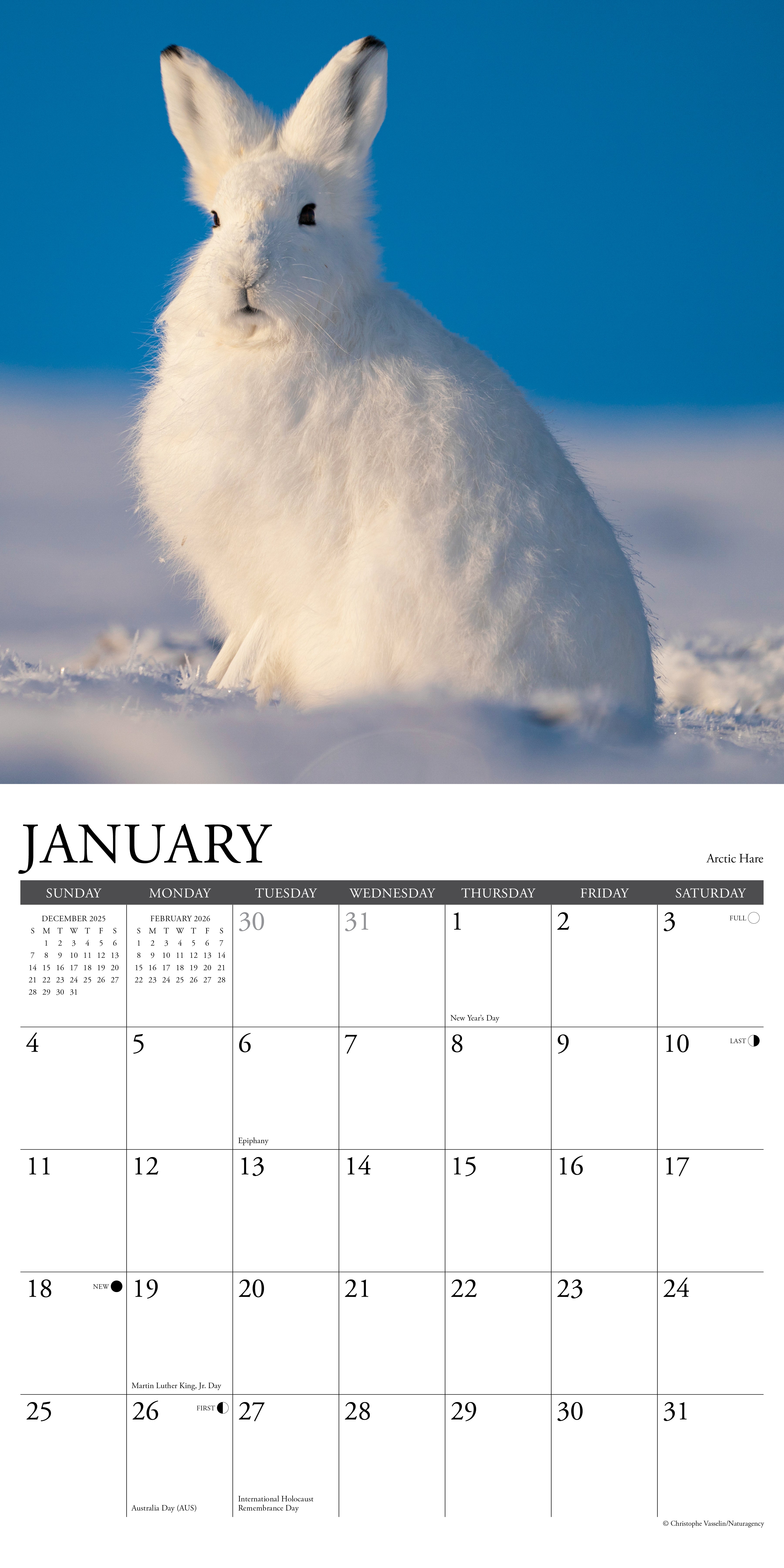 2026 Wildlife - Square Wall Calendar