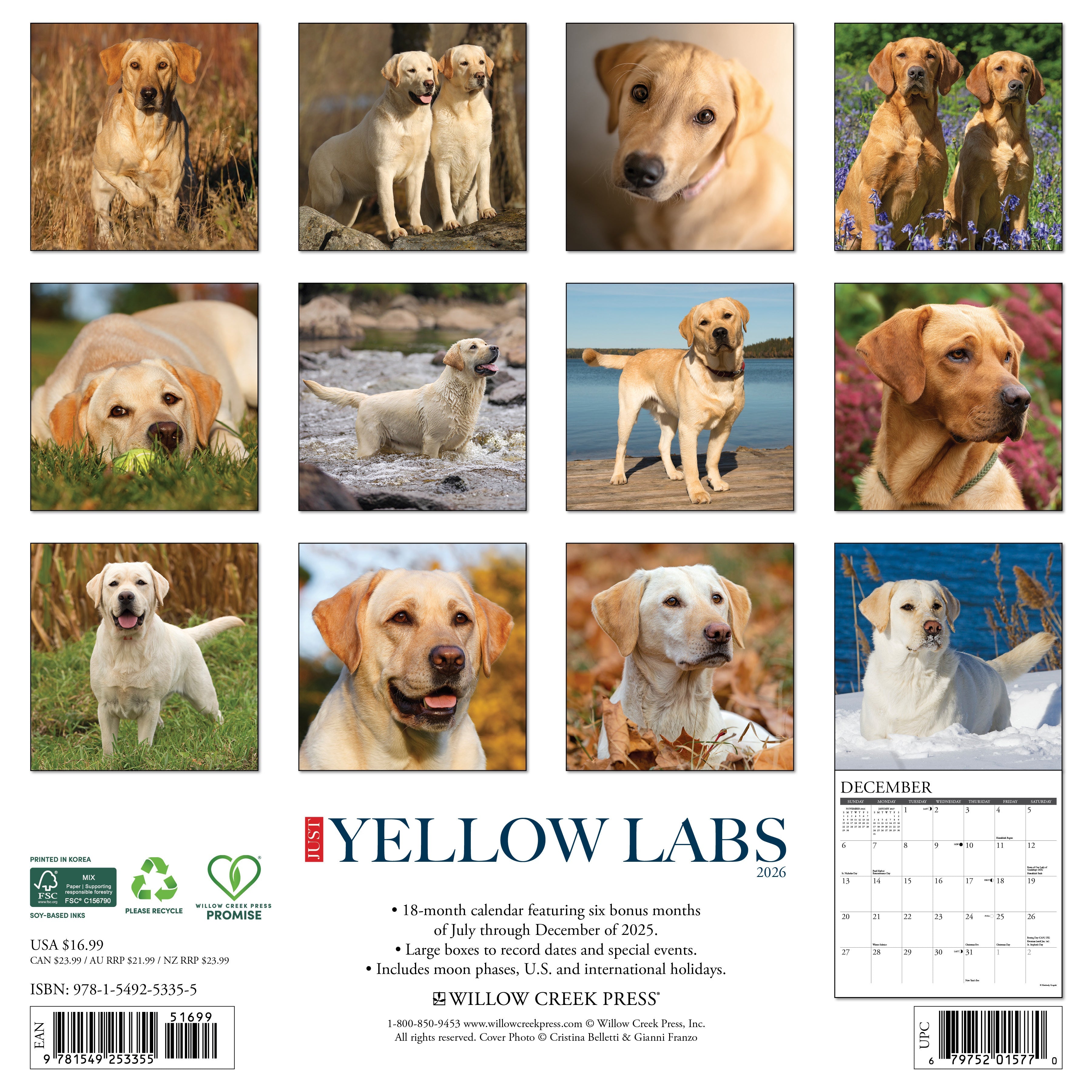 2026 Yellow Labs - Square Wall Calendar