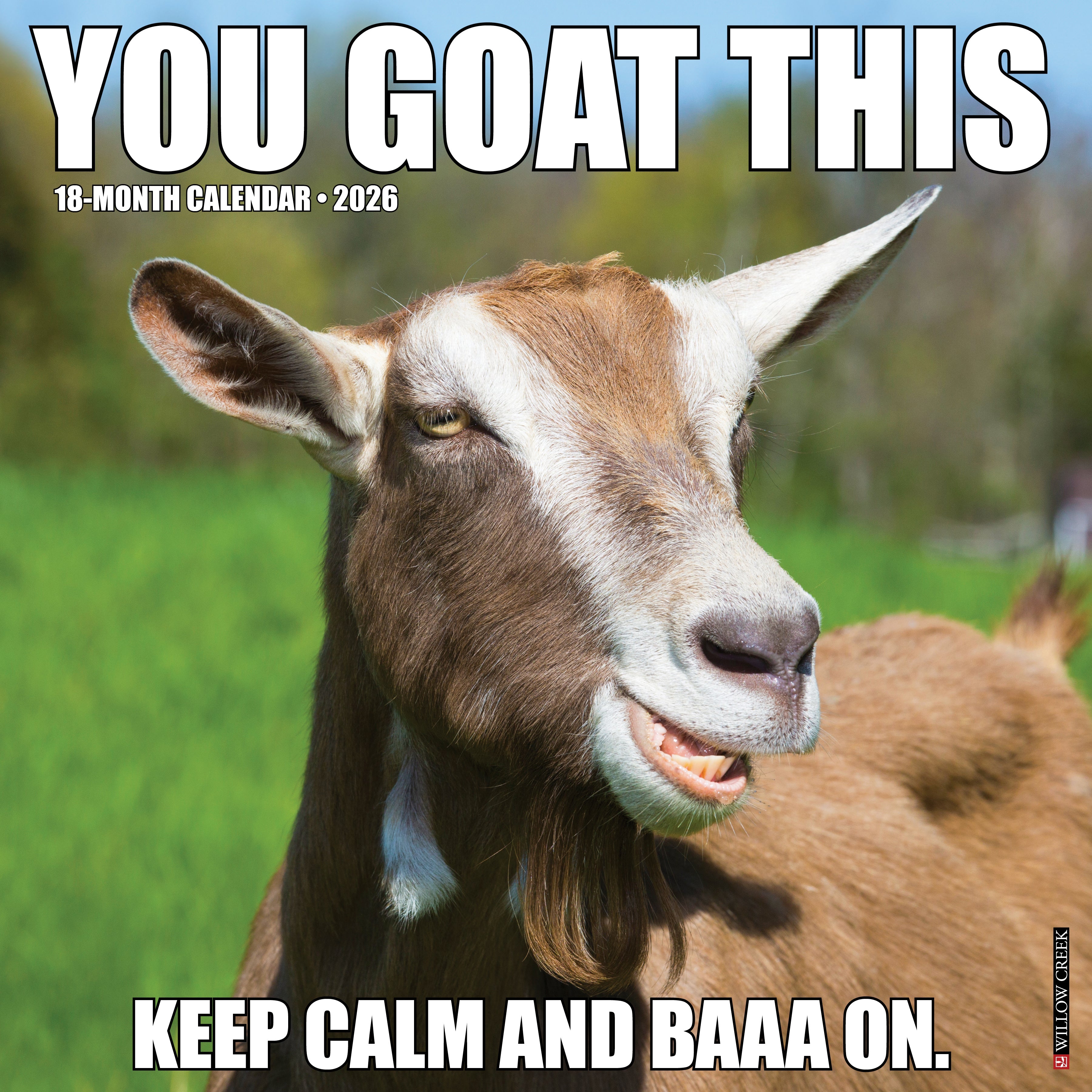 2026 You Goat This - Square Wall Calendar
