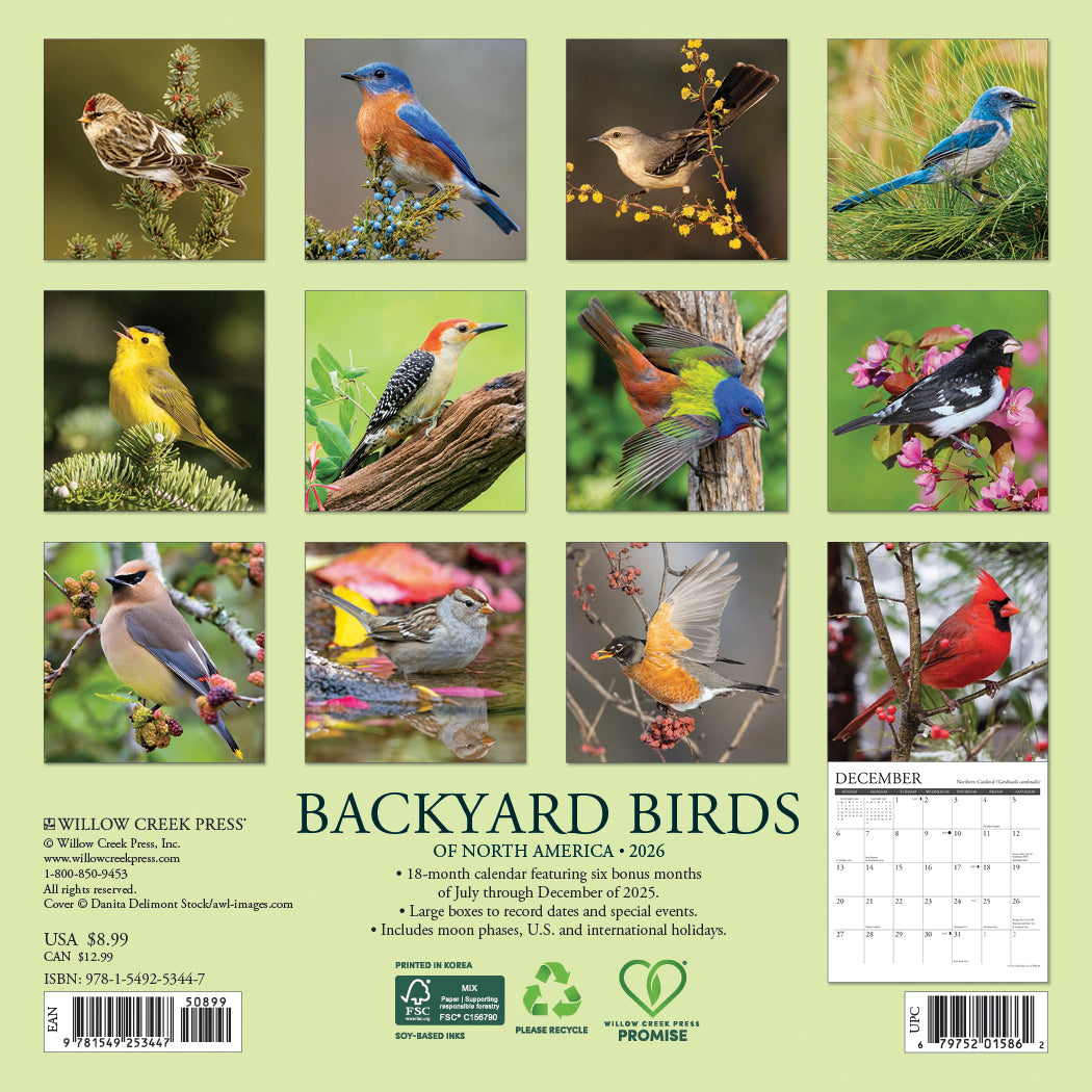 2026 Backyard Birds - Mini Wall Calendar
