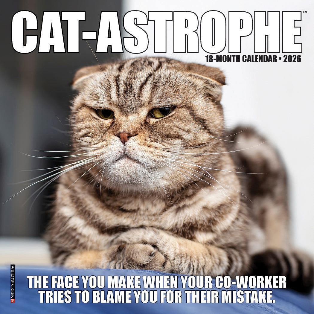 2026 Cat-astrophe - Mini Wall Calendar
