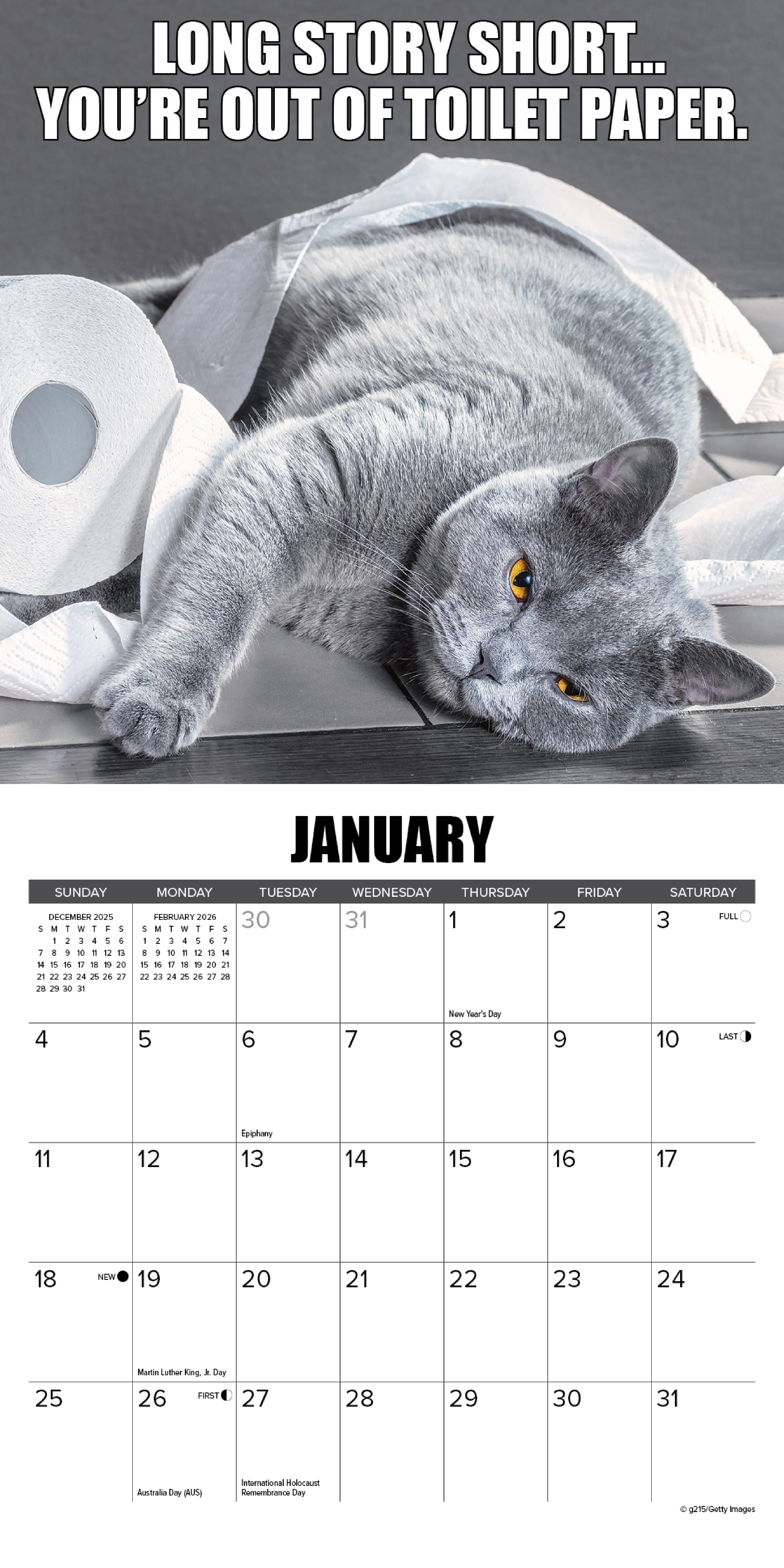2026 Cat-astrophe - Mini Wall Calendar