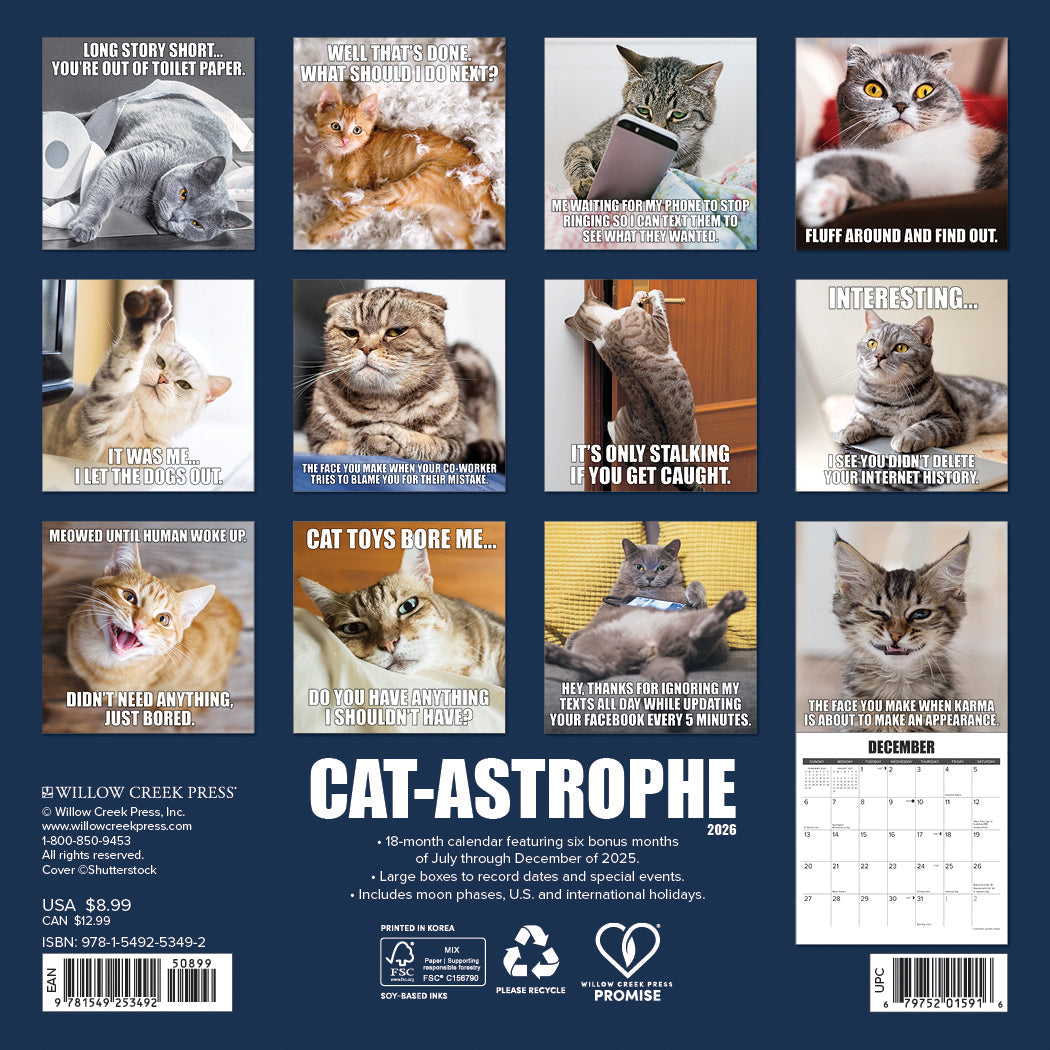 2026 Cat-astrophe - Mini Wall Calendar