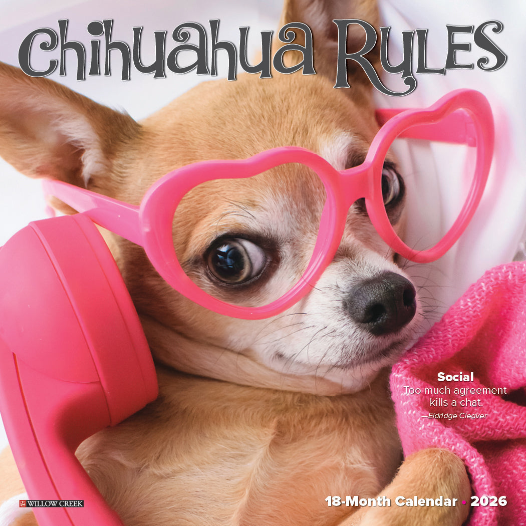 2026 Chihuahua Rules - Mini Wall Calendar