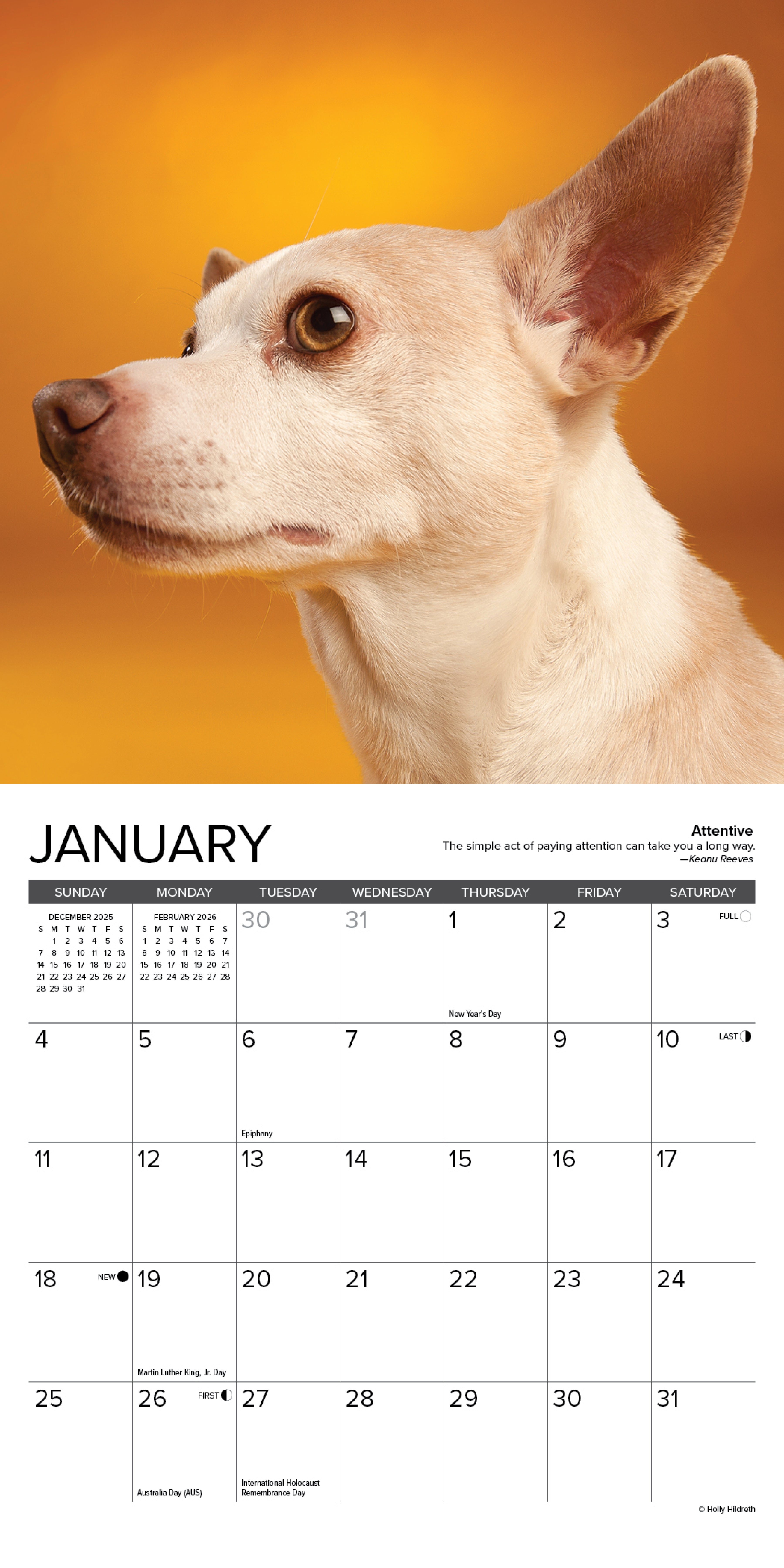 2026 Chihuahua Rules - Mini Wall Calendar