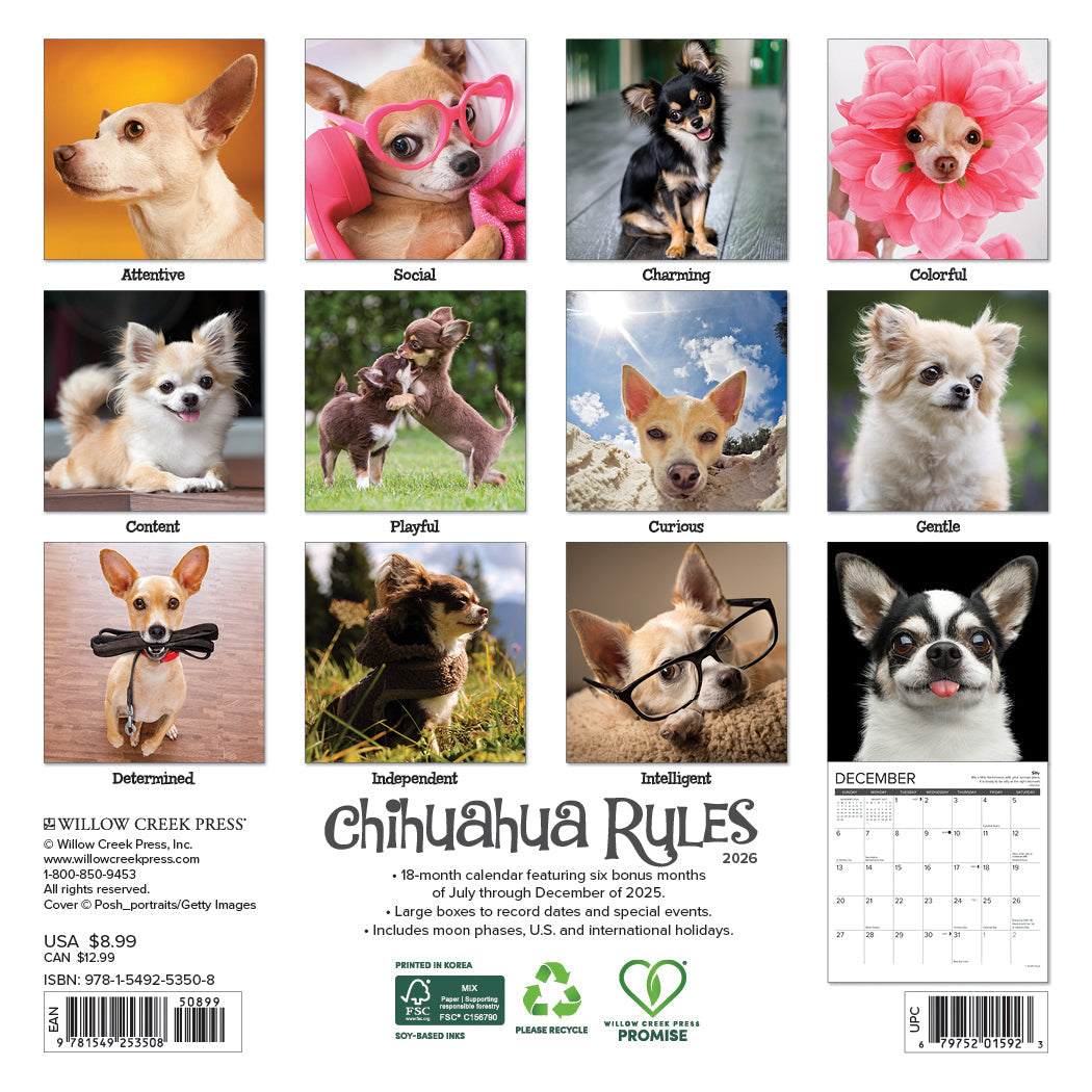 2026 Chihuahua Rules - Mini Wall Calendar