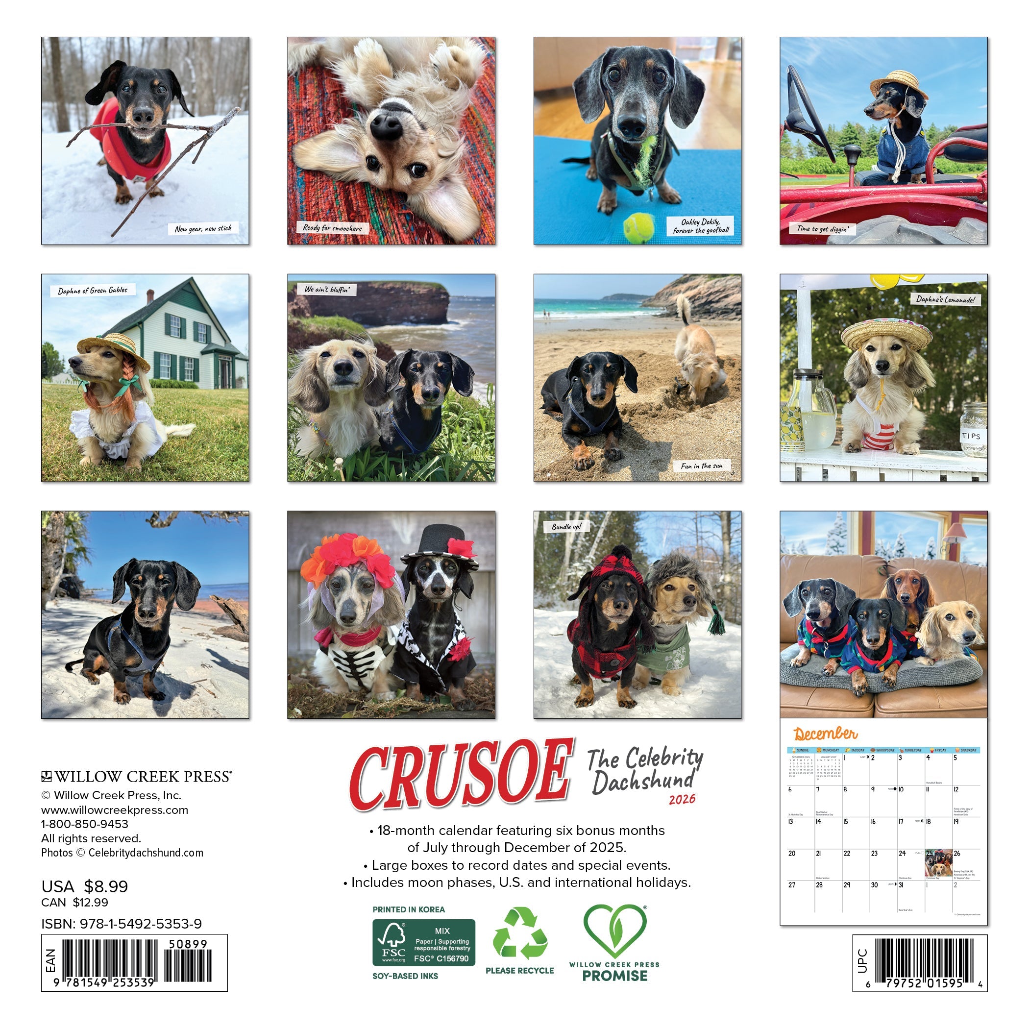 2026 Crusoe the Celebrity Dachshund - Mini Wall Calendar