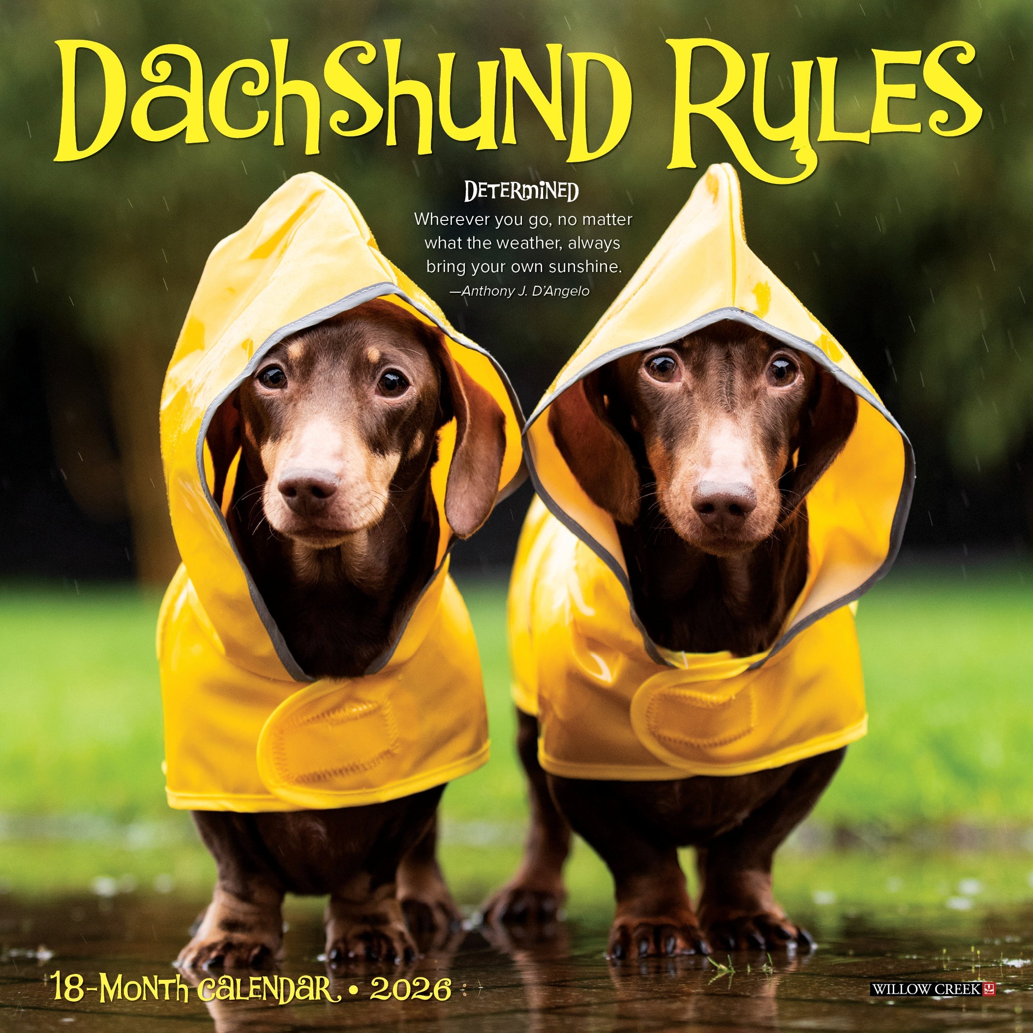 2026 Dachshund Rules - Mini Wall Calendar