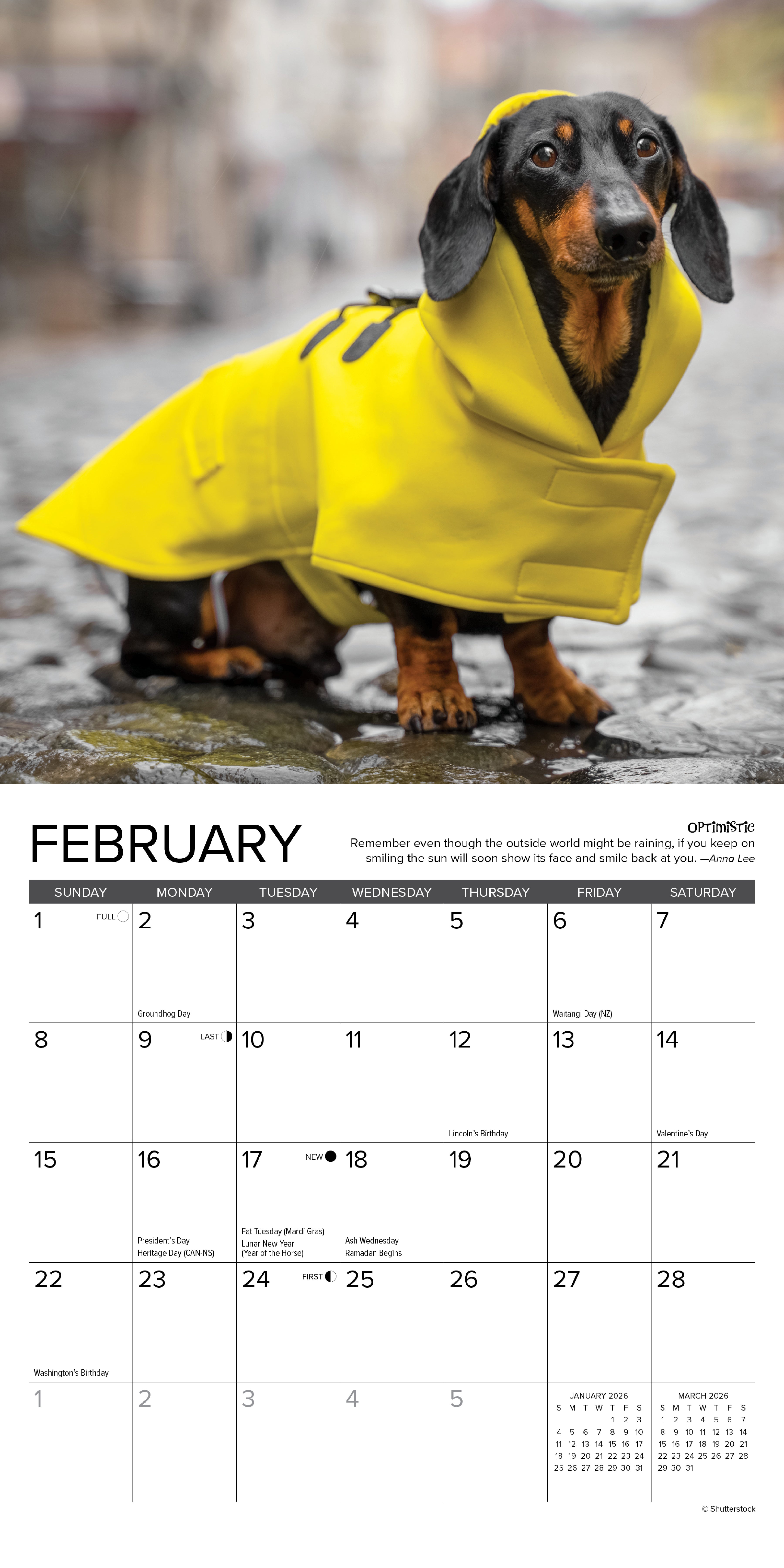 2026 Dachshund Rules - Mini Wall Calendar