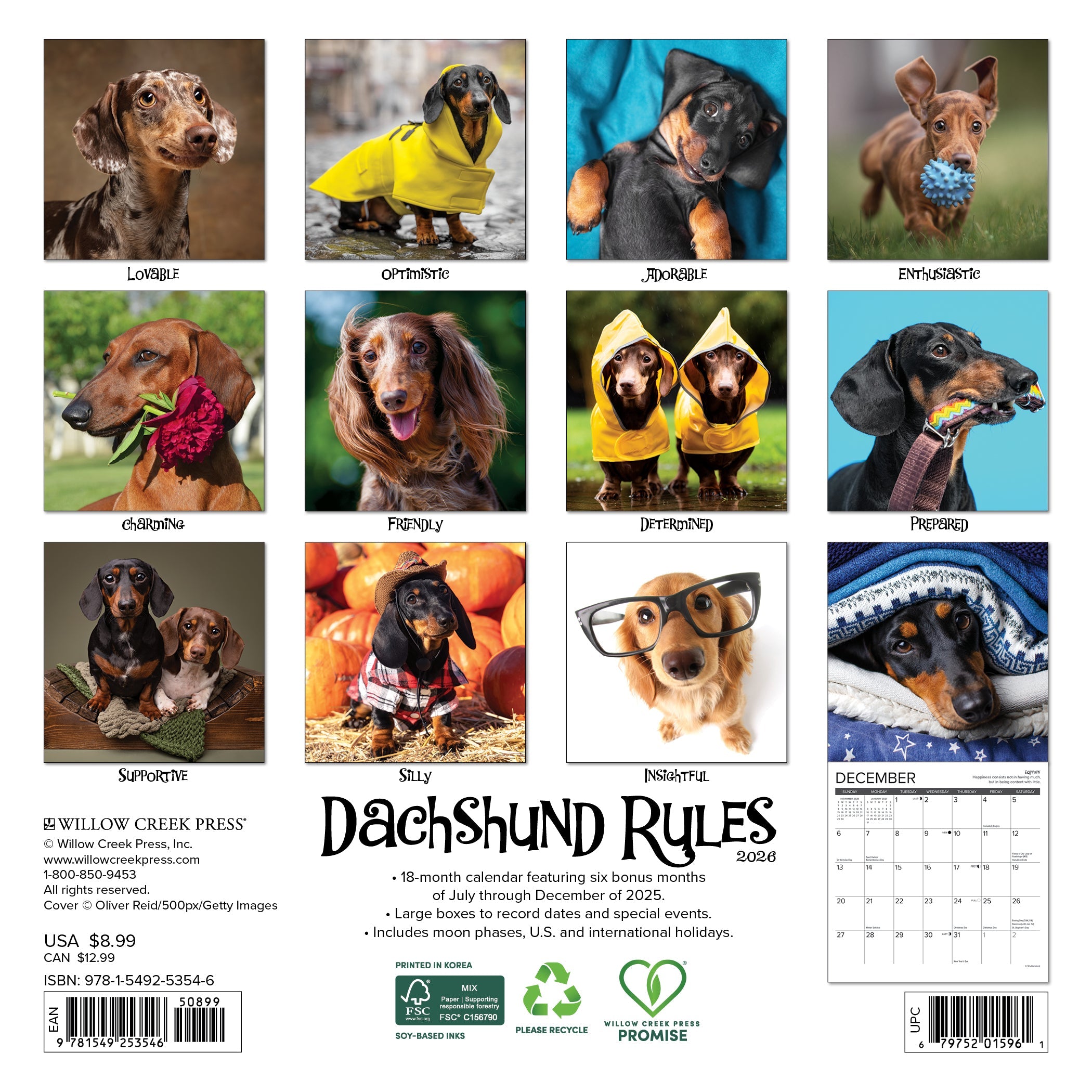 2026 Dachshund Rules - Mini Wall Calendar