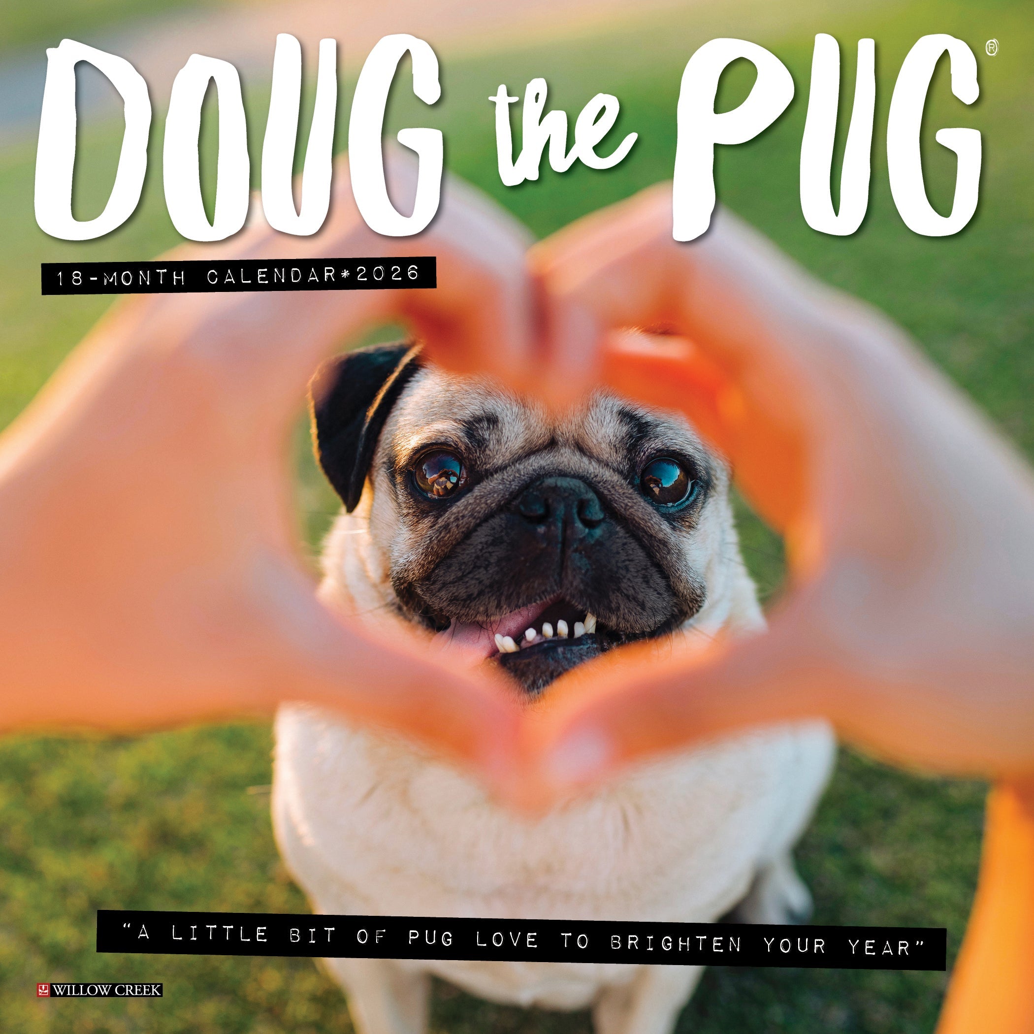 2026 Doug the Pug - Mini Wall Calendar