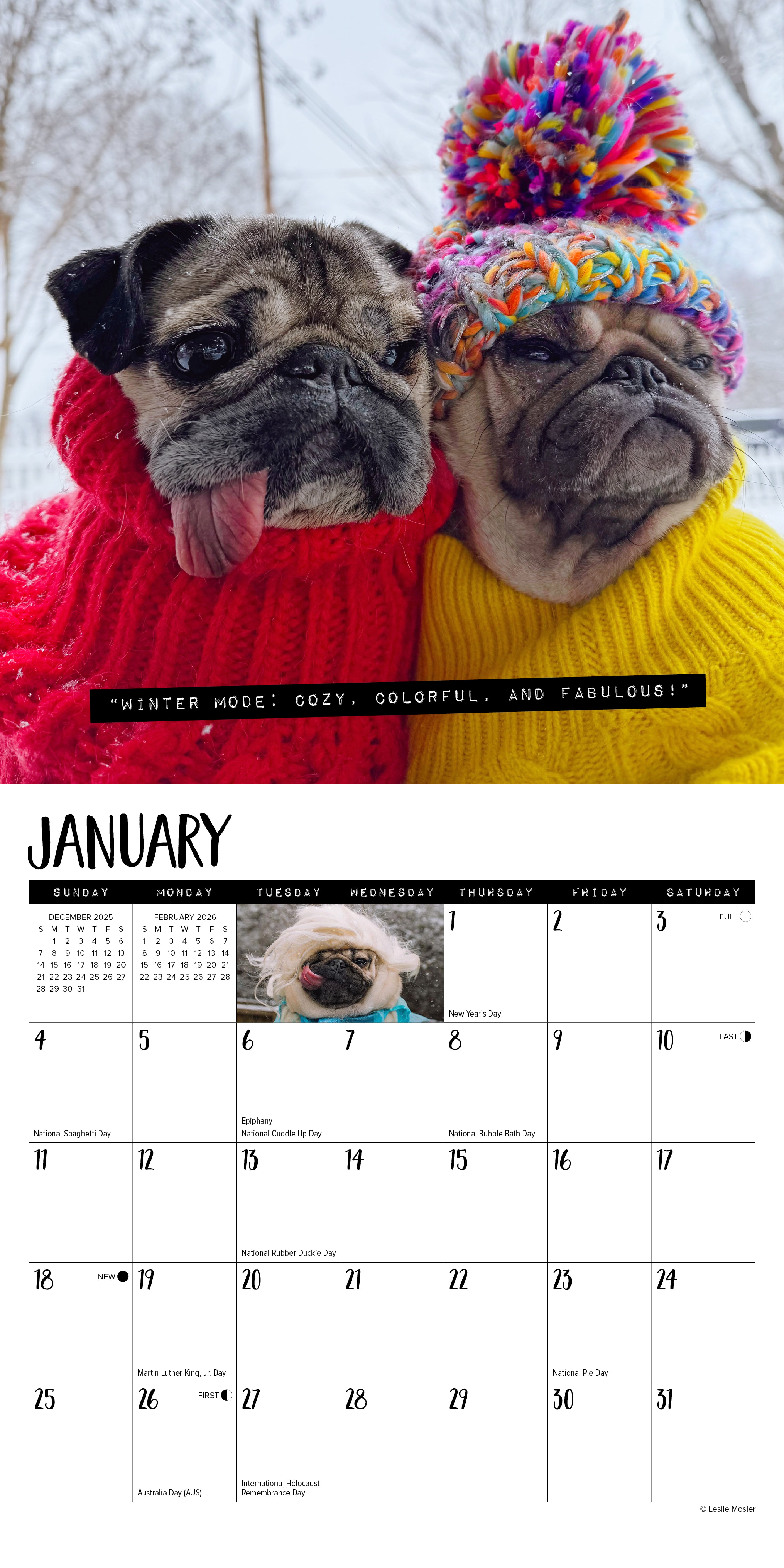 2026 Doug the Pug - Mini Wall Calendar