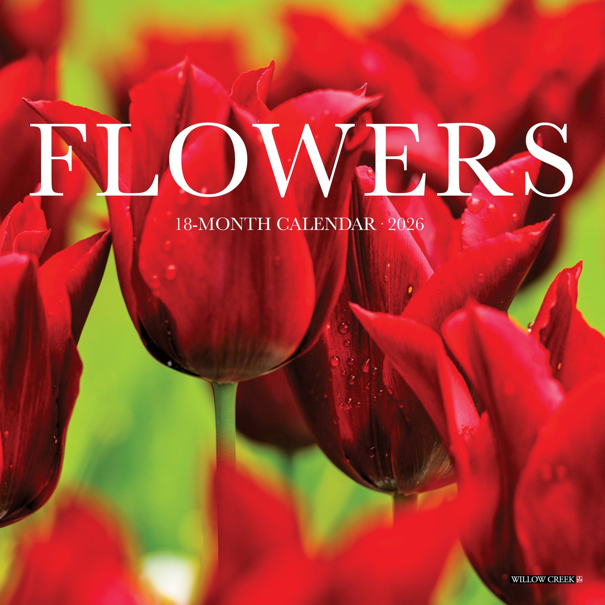 2026 Flowers - Mini Wall Calendar